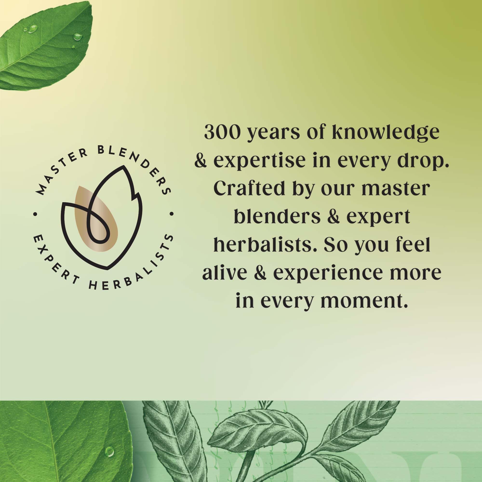 Twinings Pure Green Tea - 320 Tea Bags (Multipack of 4 x 80) 2