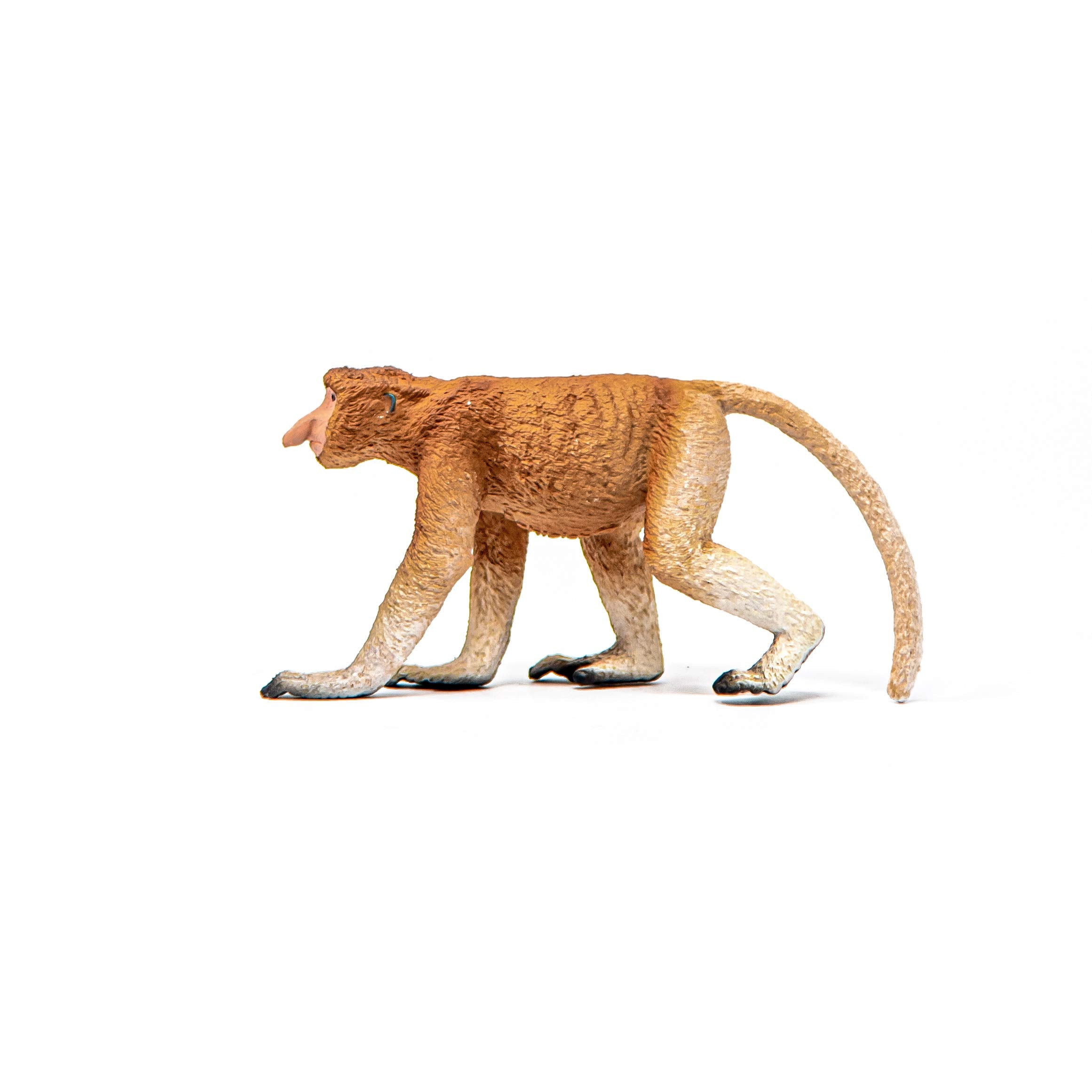 SCHLEICH Proboscis Monkey - Detailed Wildlife Figurine for Kids 3-8 Years 12