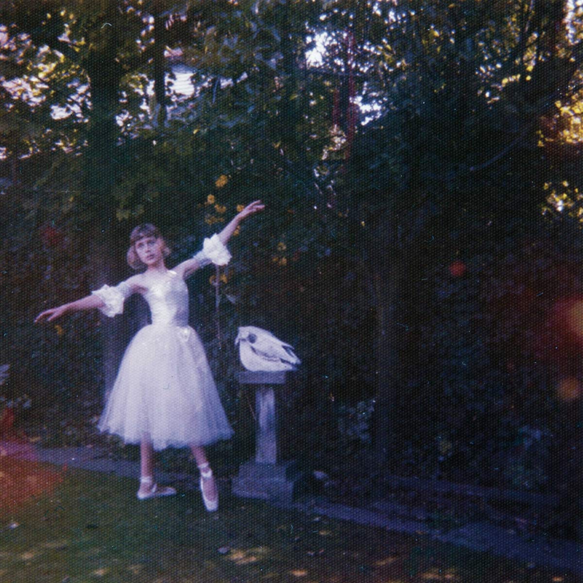 Wolf Alice - Visions Of A Life [Audio CD] 3