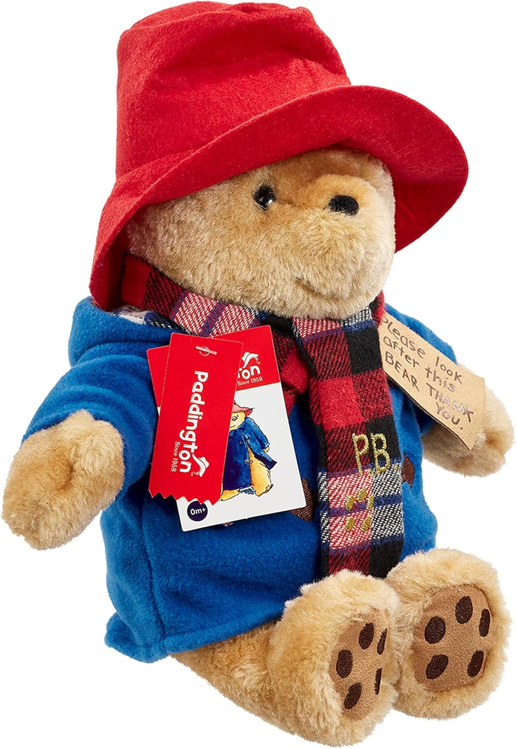 Rainbow Designs Large Paddington Bear with Scarf - 25 cm Plush Toy 3