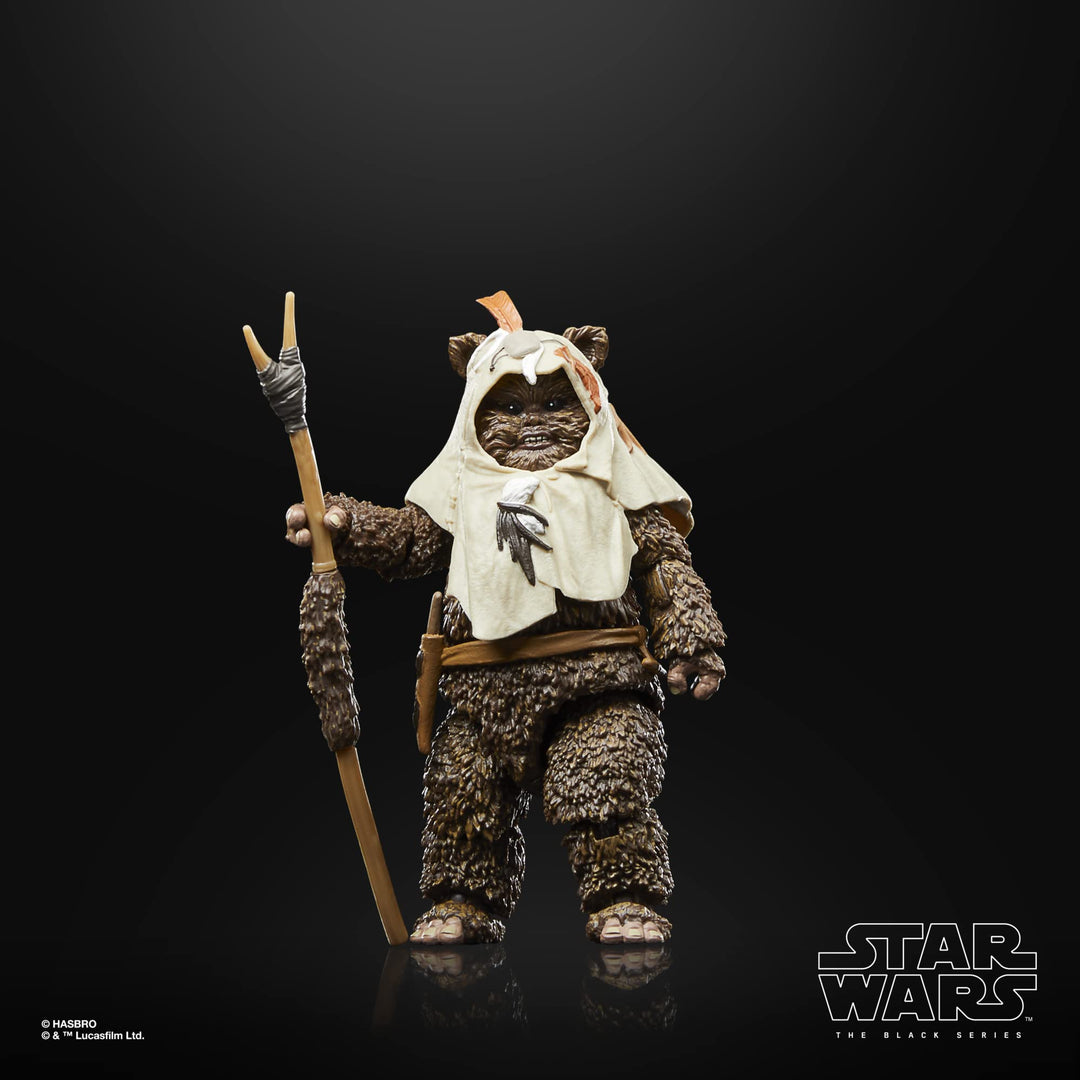 Star Wars The Black Series Return of the Jedi - Paploo 6-Inch Action Figure (5010996135551)