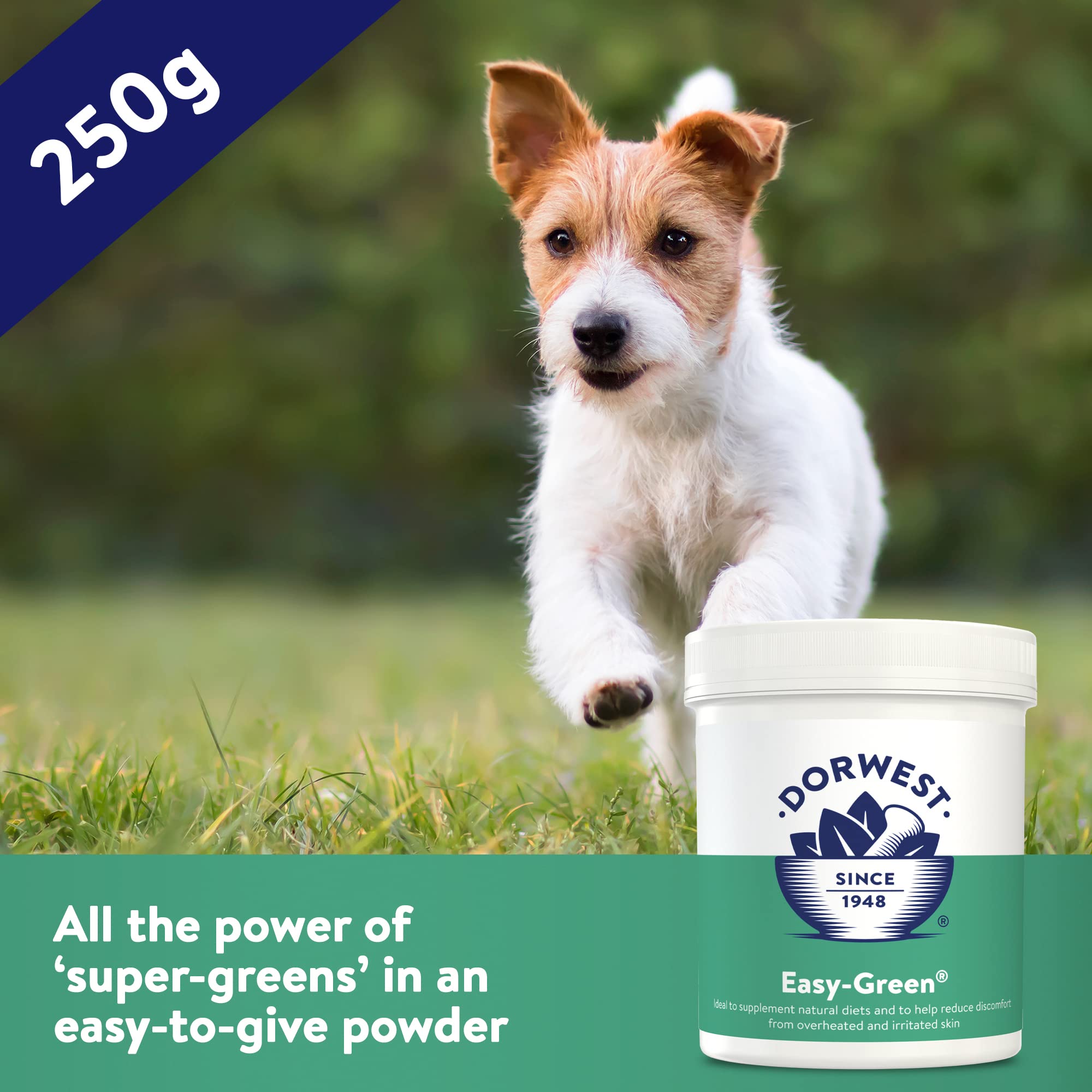 DORWEST HERBS Easy-Green Powder for Dogs - Super Green Raw Diet Supplement | 250g