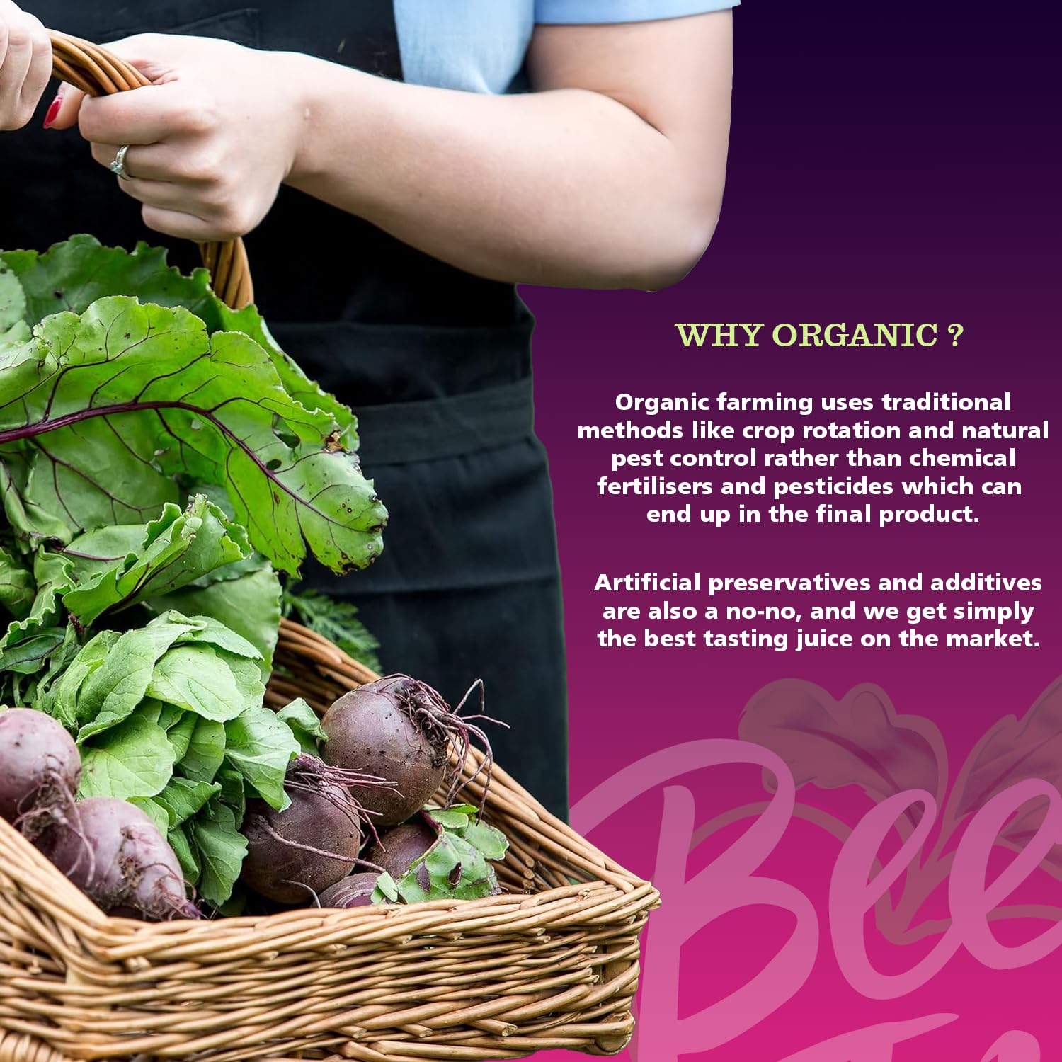 Beet It Organic Ginger Circulate+ Shot – 15 x 70ml, Natural Beetroot & Ginger Juice for Energy & Endurance 3