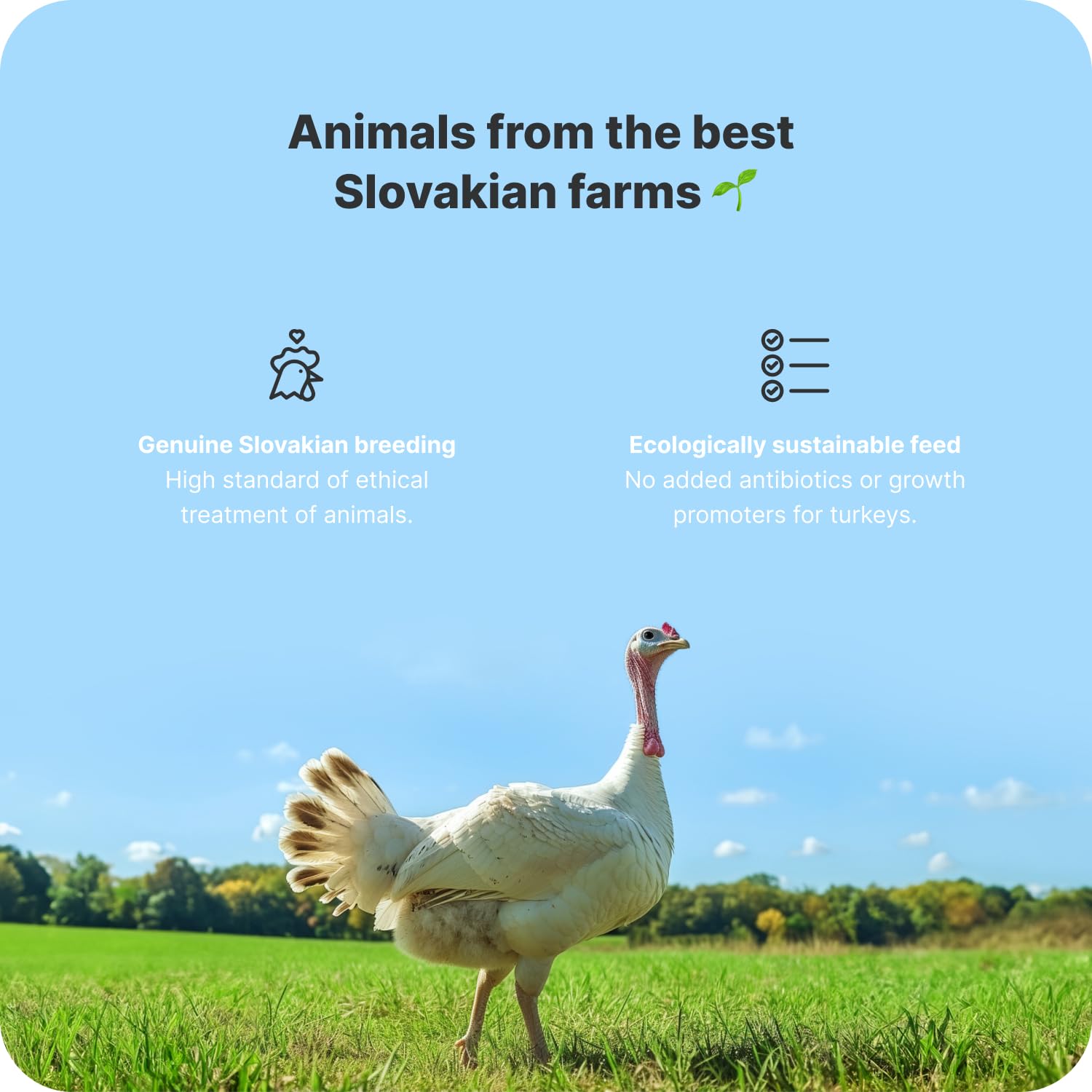 Vilgain Turkey Breast with Salt and Pepper - Ready-To-Eat Lean Poultry | 100g Tin | 22g Protein 4