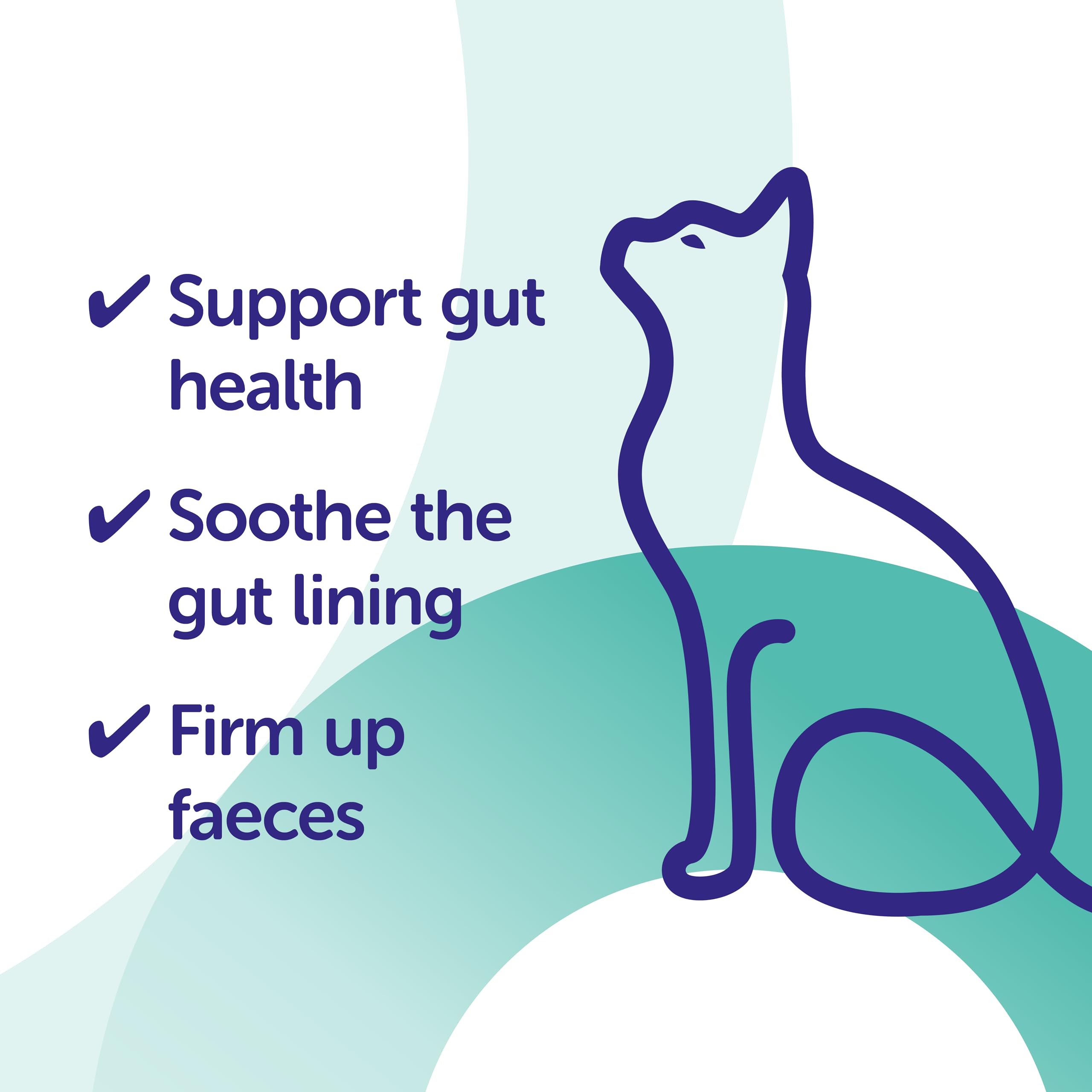 Protexin Pro-Kolin Advanced for Cats Digestive Remedy | 15ml