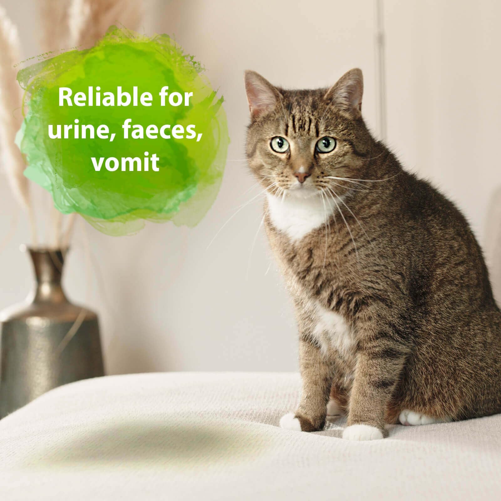 Bactador Enzyme Cleaner for Cat Pee Spray - Permanent Odour Removal | 500ml | Unscented