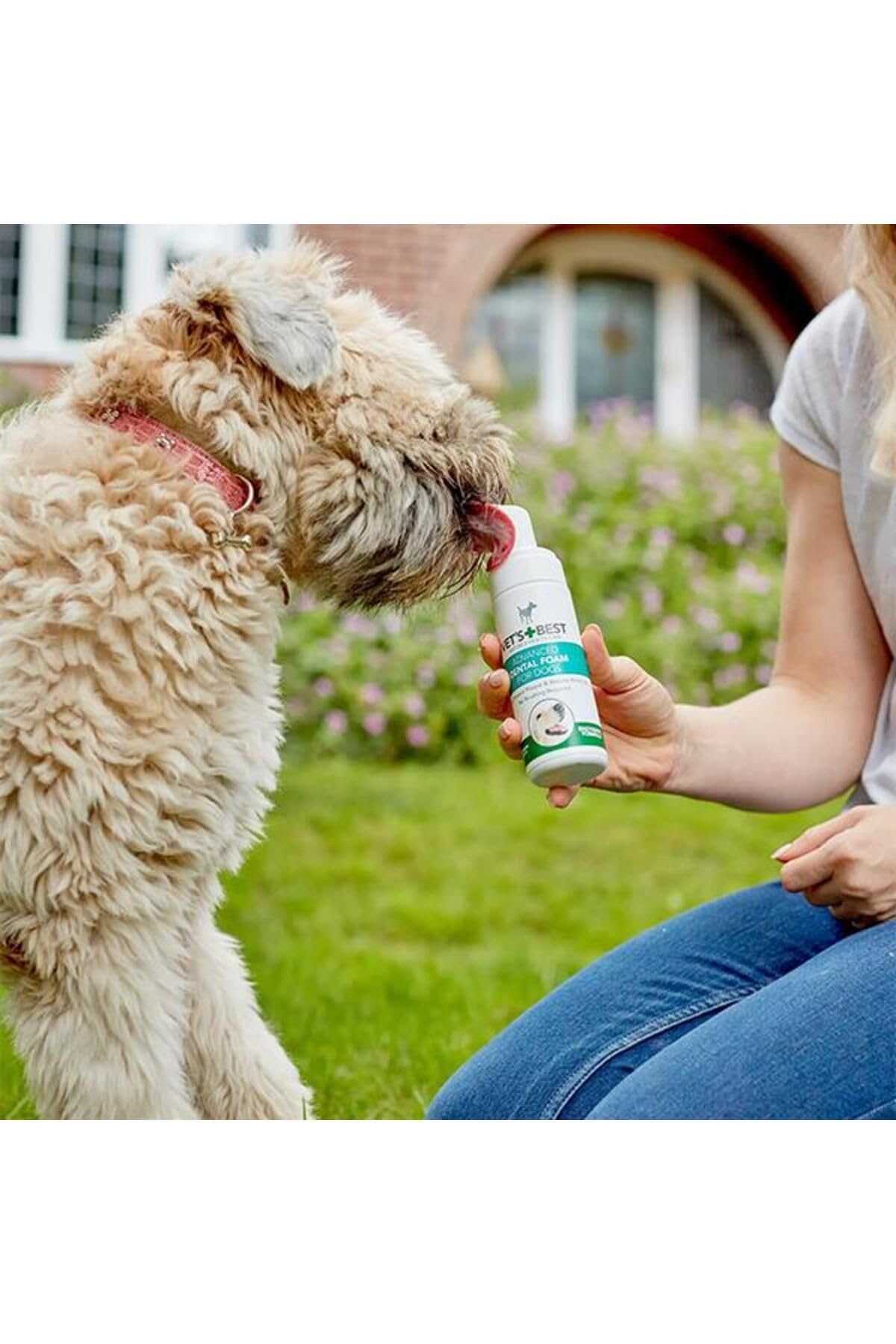 Vet's Best Enzymatic Dog Dental Foam for Teeth Cleaning and Fresh Breath | 150 ml 6