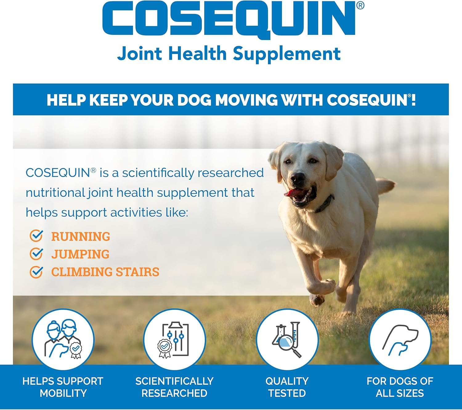 Nutramax Cosequin Maximum Strength Joint Supplement for Dogs - 250 Count Tablets 2