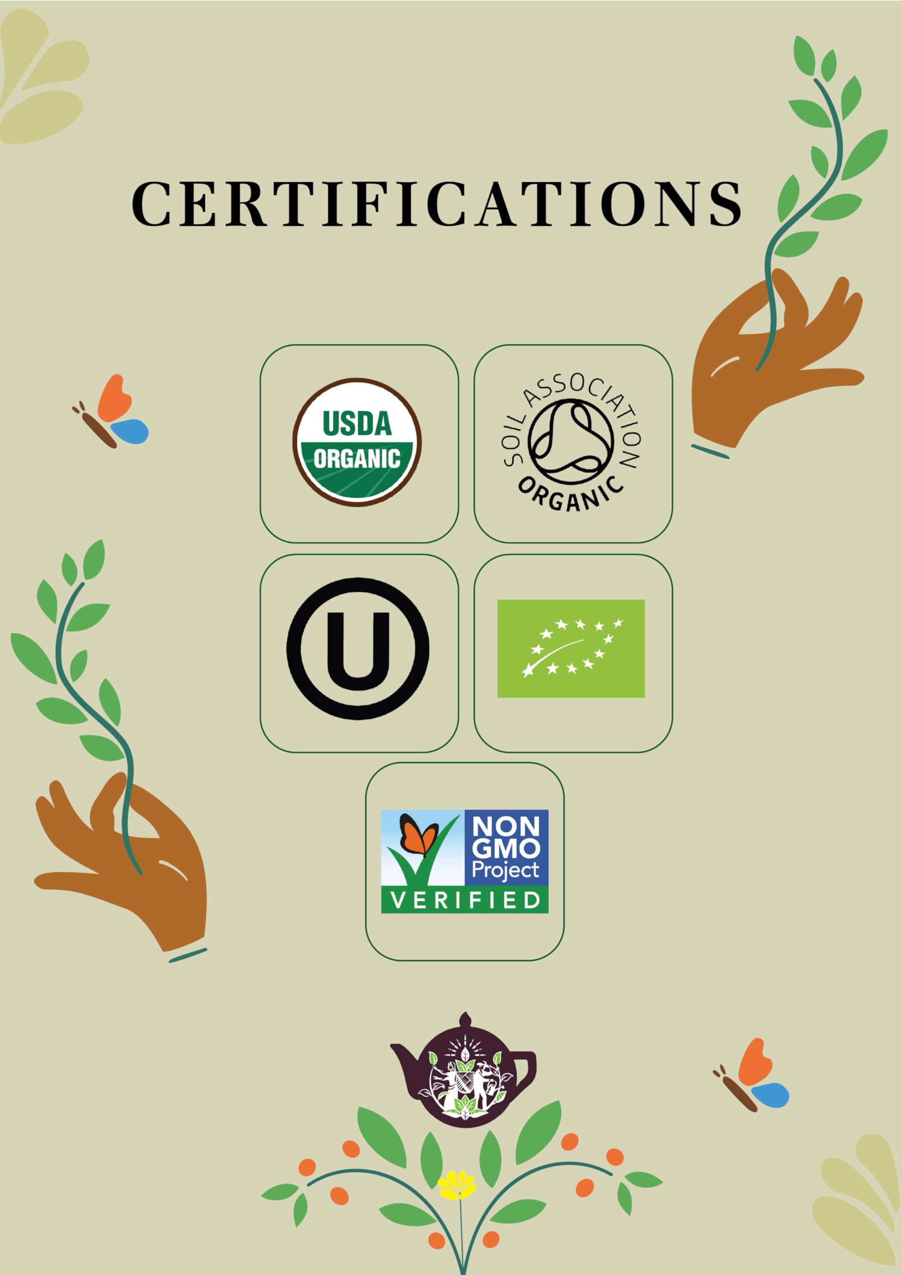 English Tea Shop Organic Cinnamon Moringa Ginger - 20 Tea Bags 12