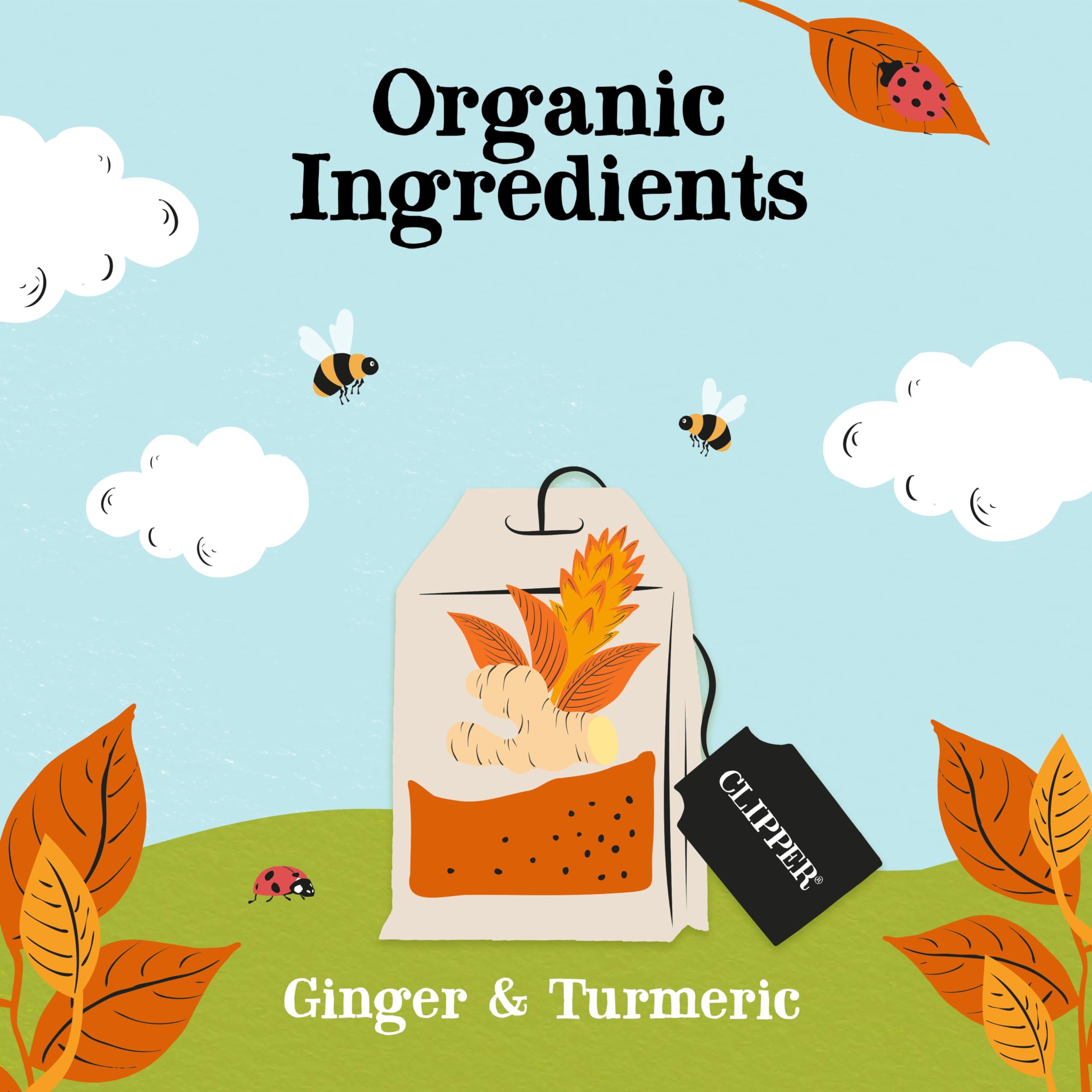 Clipper Natural, Fair & Delicious Organic Restoring Roots Ginger & Turmeric Herbal Tea Bags | 20 Count 3