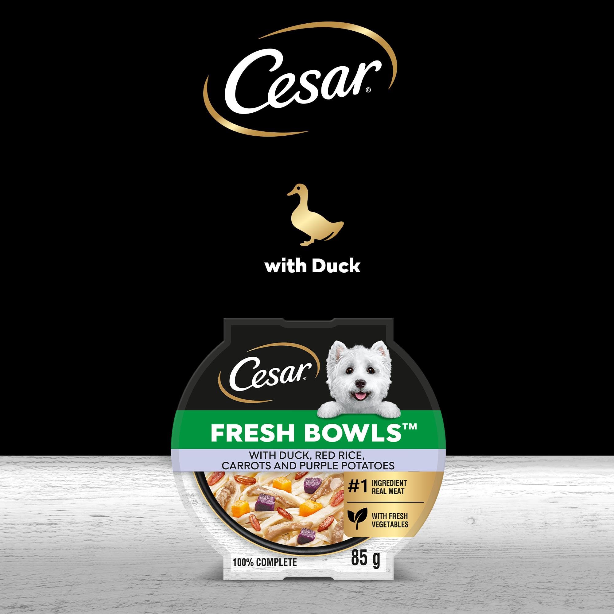 Cesar Fresh Bowl Adult Dog Food Pate with Duck, Red Rice & Vegetables | 85g Trays (Pack of 10) 5