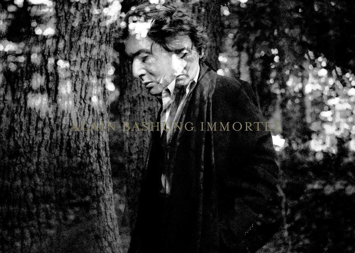 Alain Bashung - Integrale - Immortal [24-Disc CD Box Set]