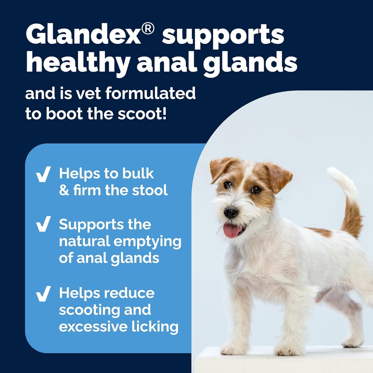 Vetnique Glandex For Dogs - 60 Soft Chews for Anal Gland Support & Digestive Health 4