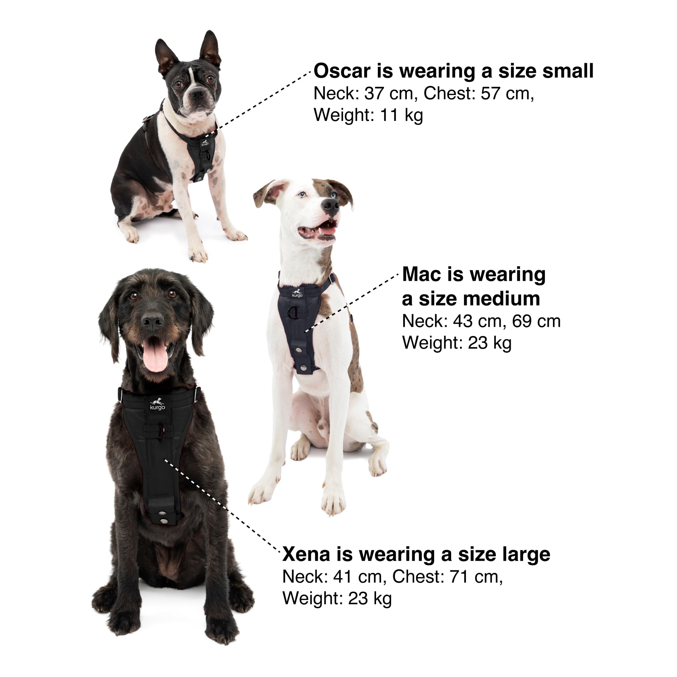 Kurgo Enhanced Strength Tru-Fit Dog Car Harness - Crash Tested, Adjustable, Padded Chest | Large 7