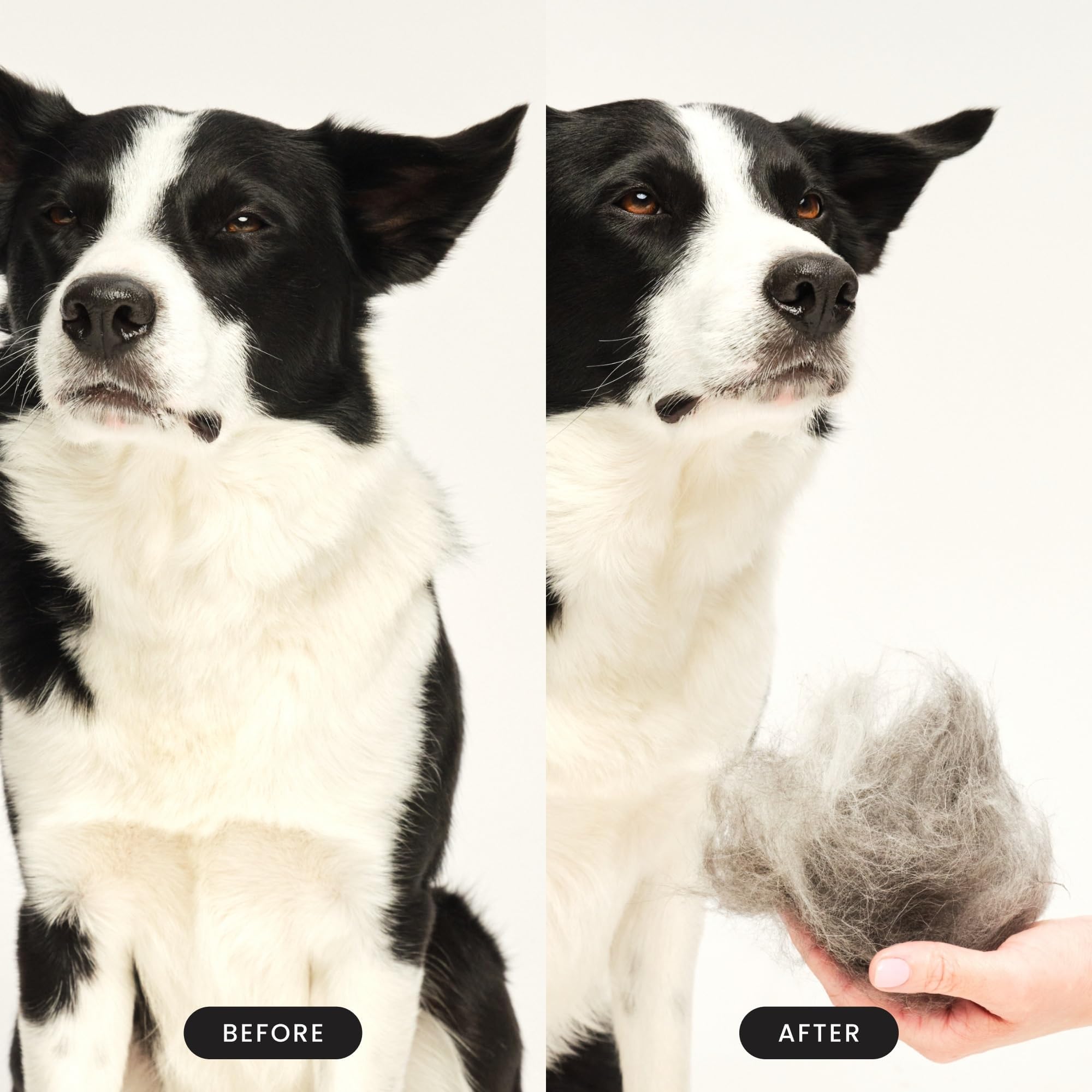 Pet Teezer De-Shedding Grooming Brush - Undercoat Removal | Purple & Grey | Large 5