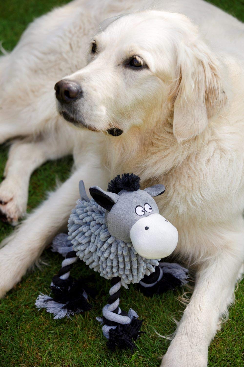 Petface Farmyard Buddies Noodle Donkey Plush Dog Toy | Small Size | Rope Material 8