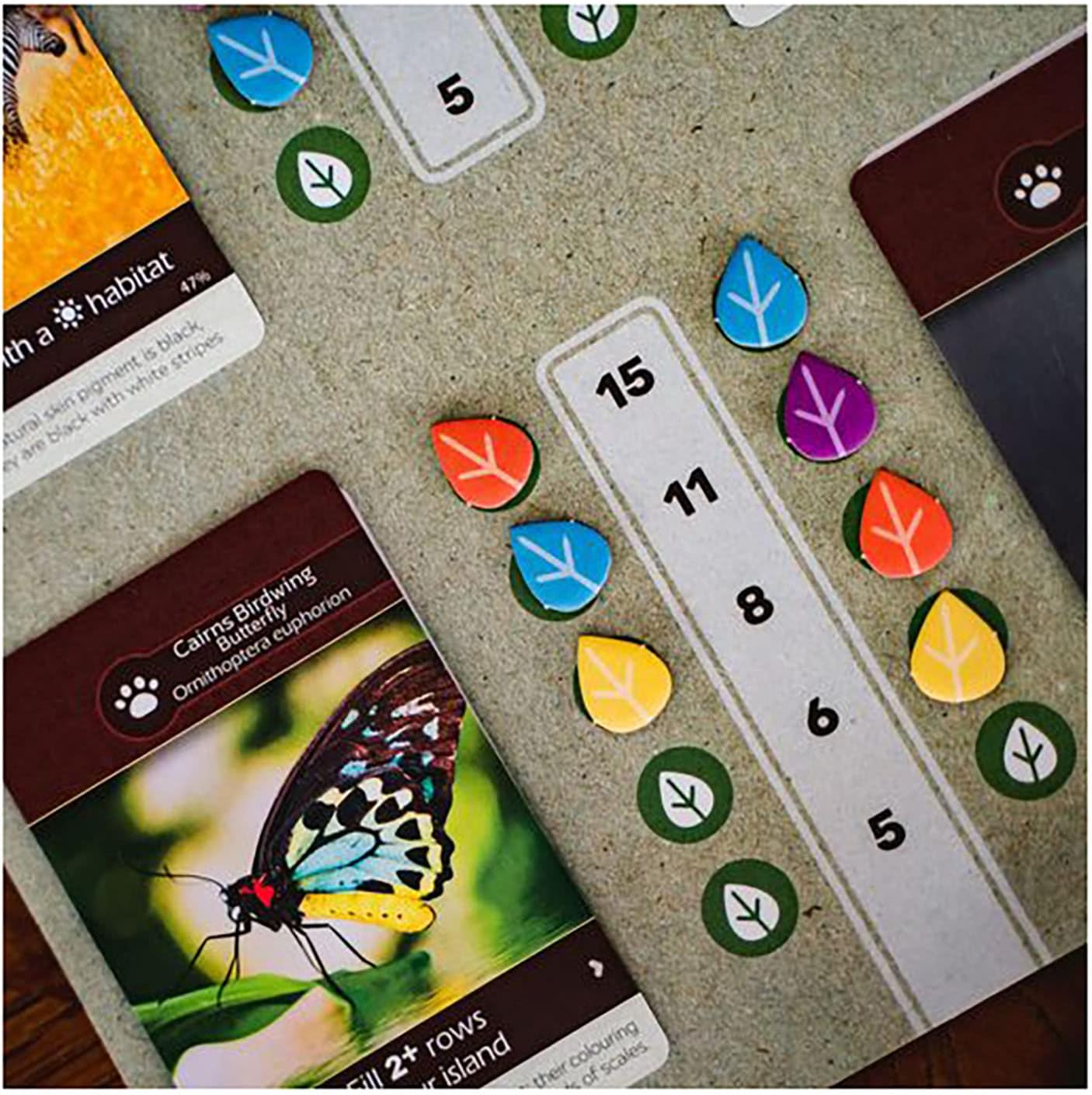 Inside Up Games Earth Board Game | Ages 14+ | 1-5 Players | 45-90 Minutes 6