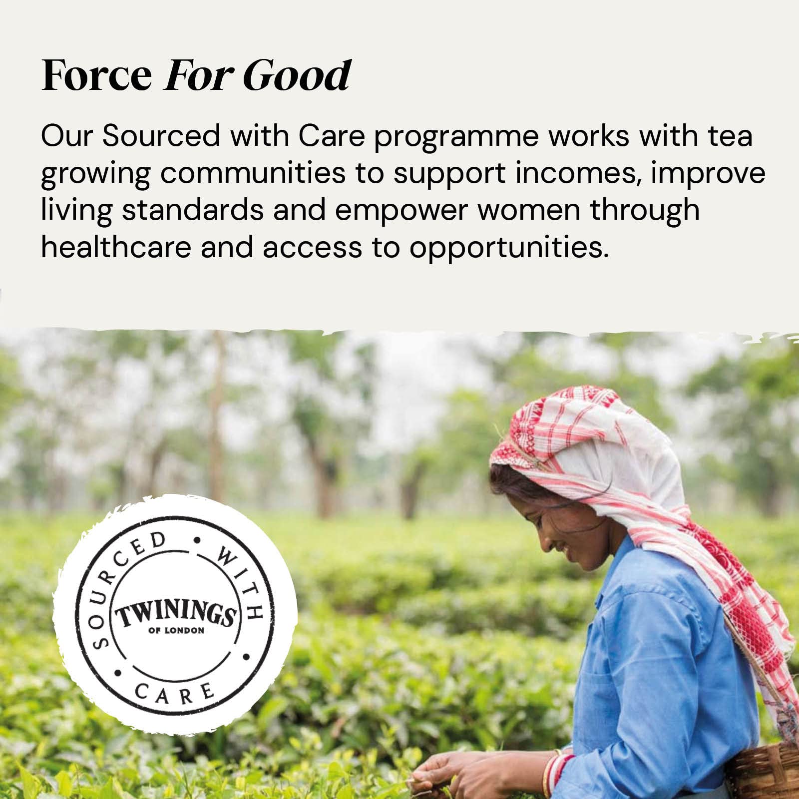 Twinings Organic Ceremonial Grade Matcha Green Tea Powder - 30g Tin 11