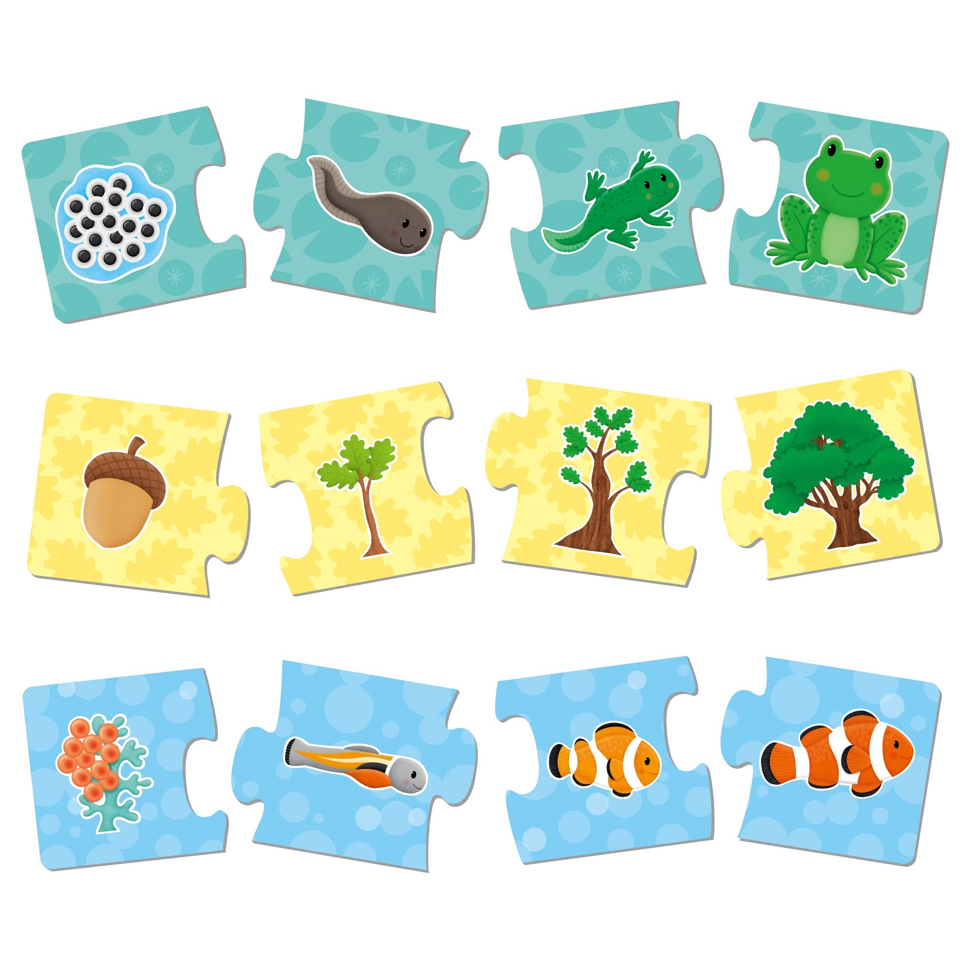 Galt How Things Grow Puzzle Set - 6 Life Cycle Puzzles | Ages 3-6 | Thick Board 2