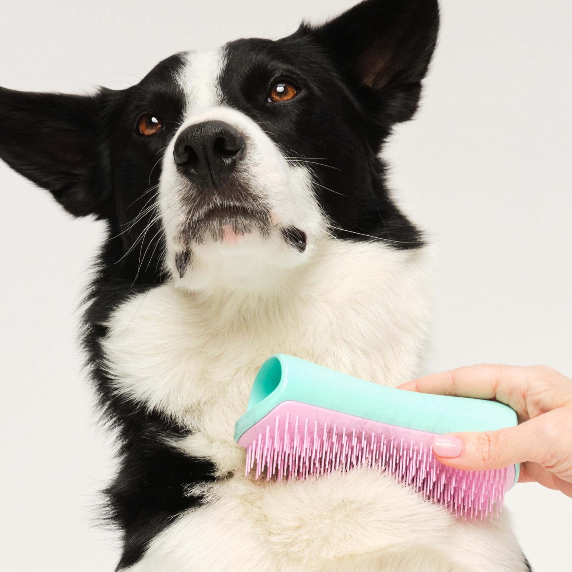 Tangle Teezer Pet Teezer De-Shedding Grooming Brush - Large, Mint & Pink | Dual-Tier Technology 3
