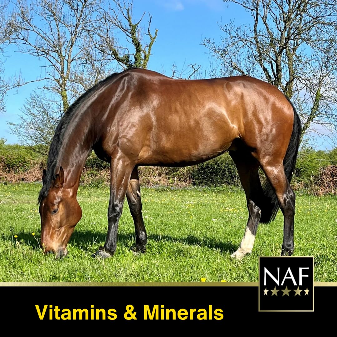 NAF Vitamin E and Selenium Plus Powder - Antioxidant Support for Muscle Health | 1 kg 4