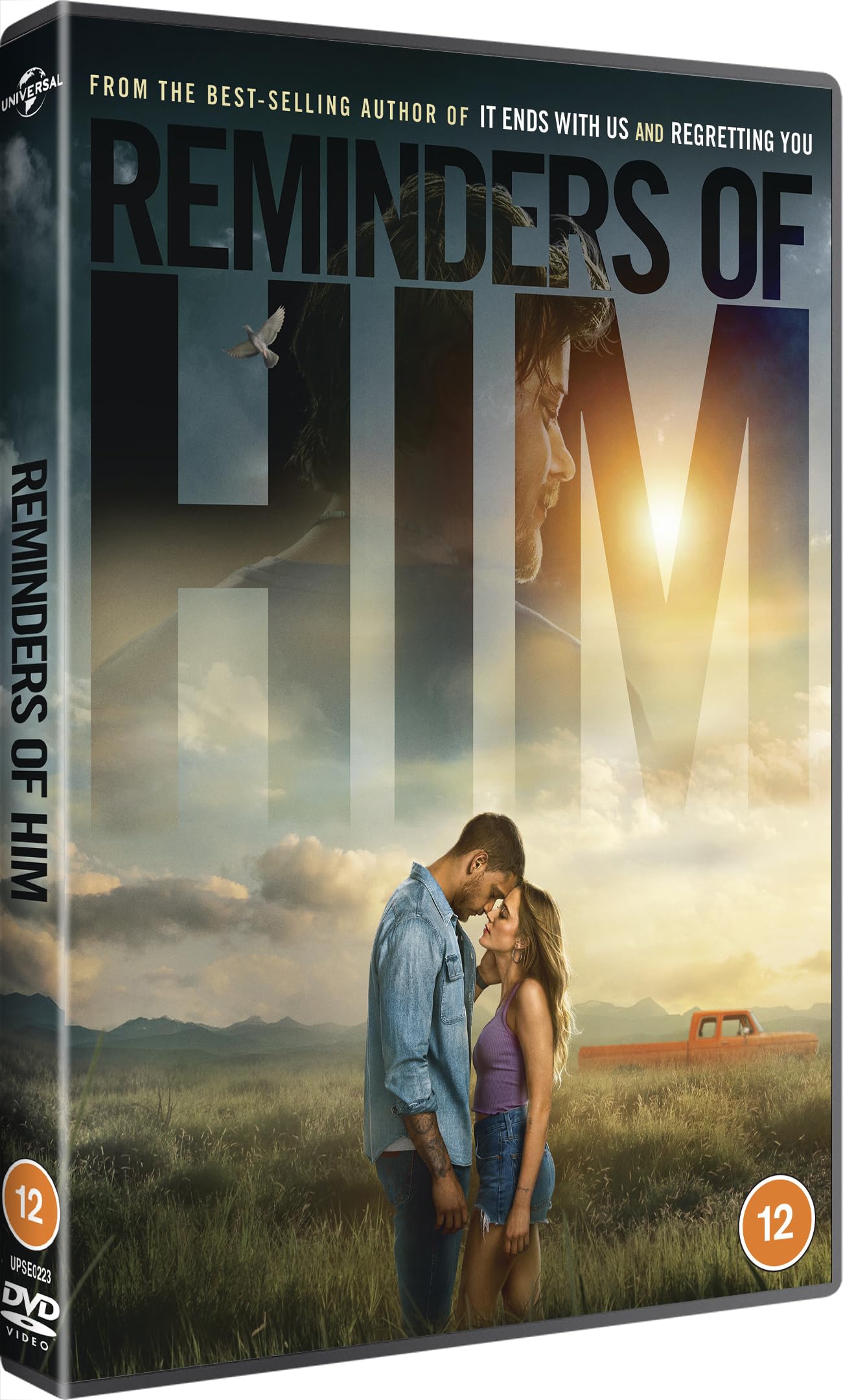 Reminders of Him [DVD] 1
