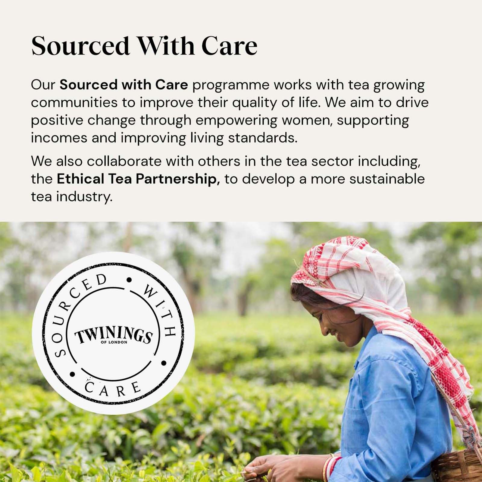 Twinings Superblends Glow Herbal Infusion with Strawberry, Cucumber, Green Tea & Aloe Vera (80 Teabags) 12