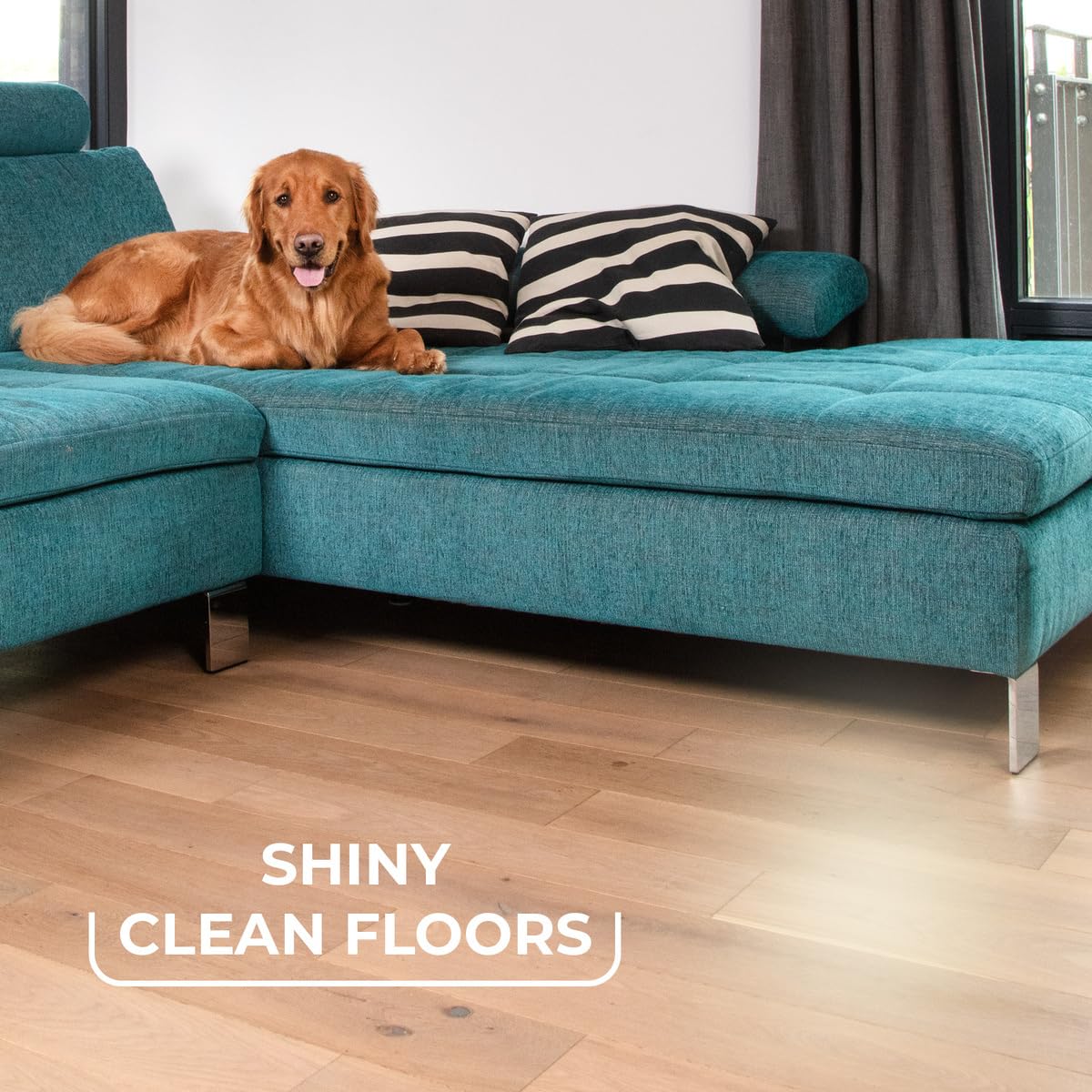 Vileda Pet Pro Always Clean Broom - Rubber Broom for Pet Hair Removal, Angled Bristles for Corners, Easy Rinse Clean, Red 6