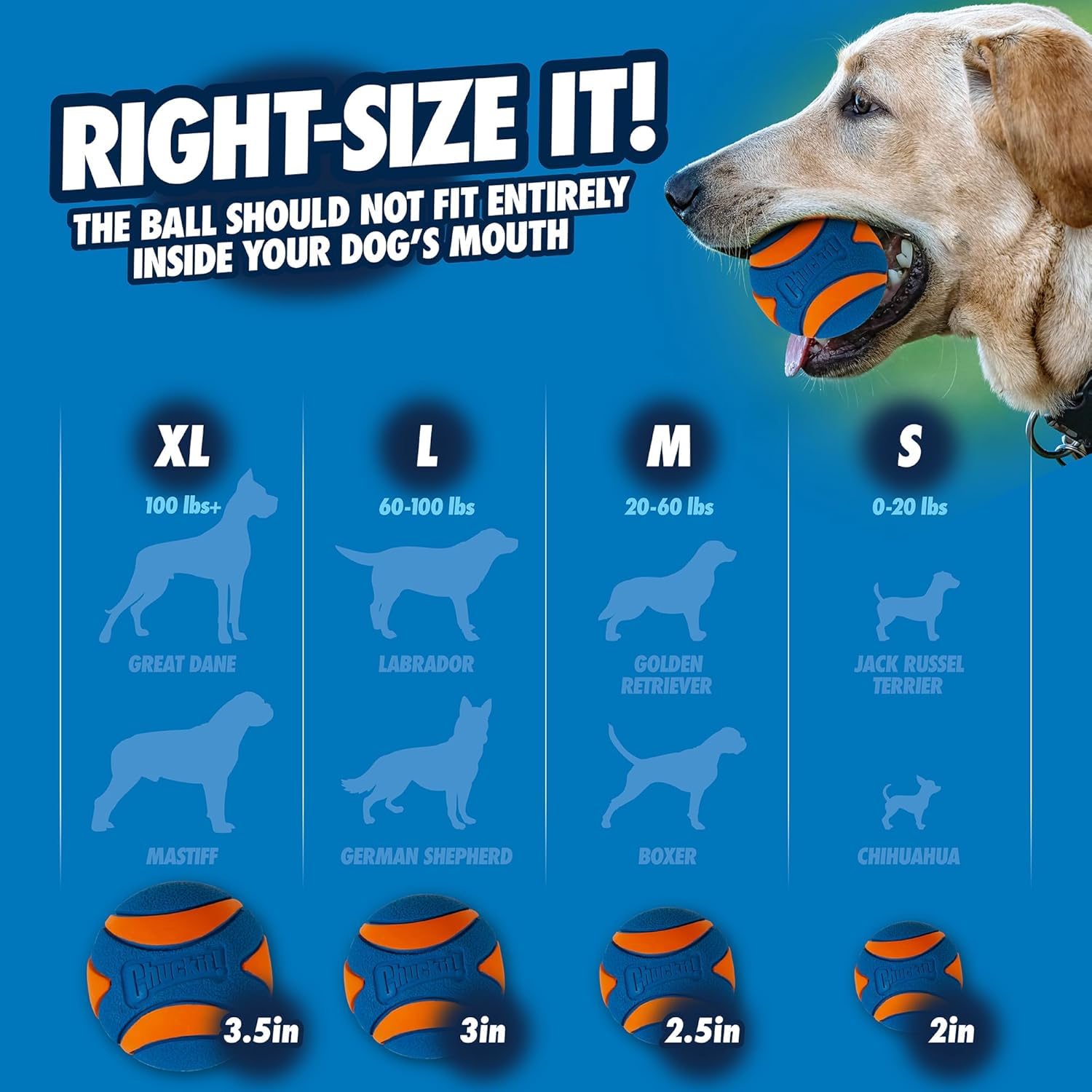 Chuckit! Ultra Squeaker Dog Ball - Medium Natural Rubber Fetch Toy | 3 Pack | Orange 5