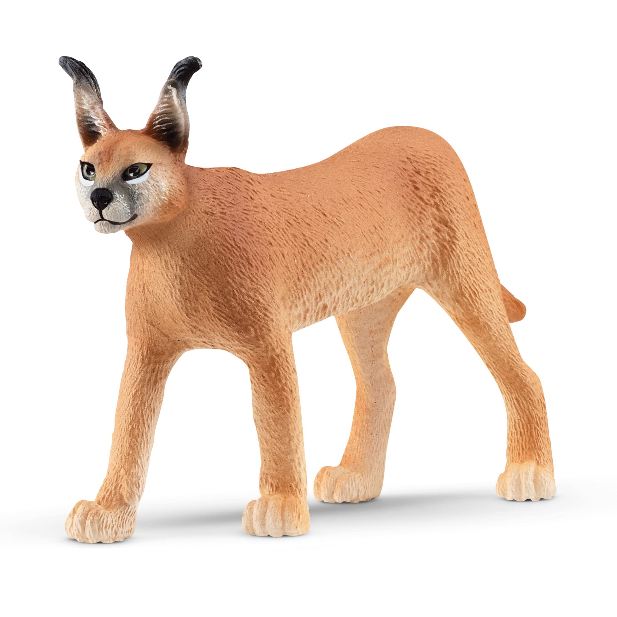 SCHLEICH14867 Wild Life Caracal Female Figurine - Educational Play for Ages3-8 6