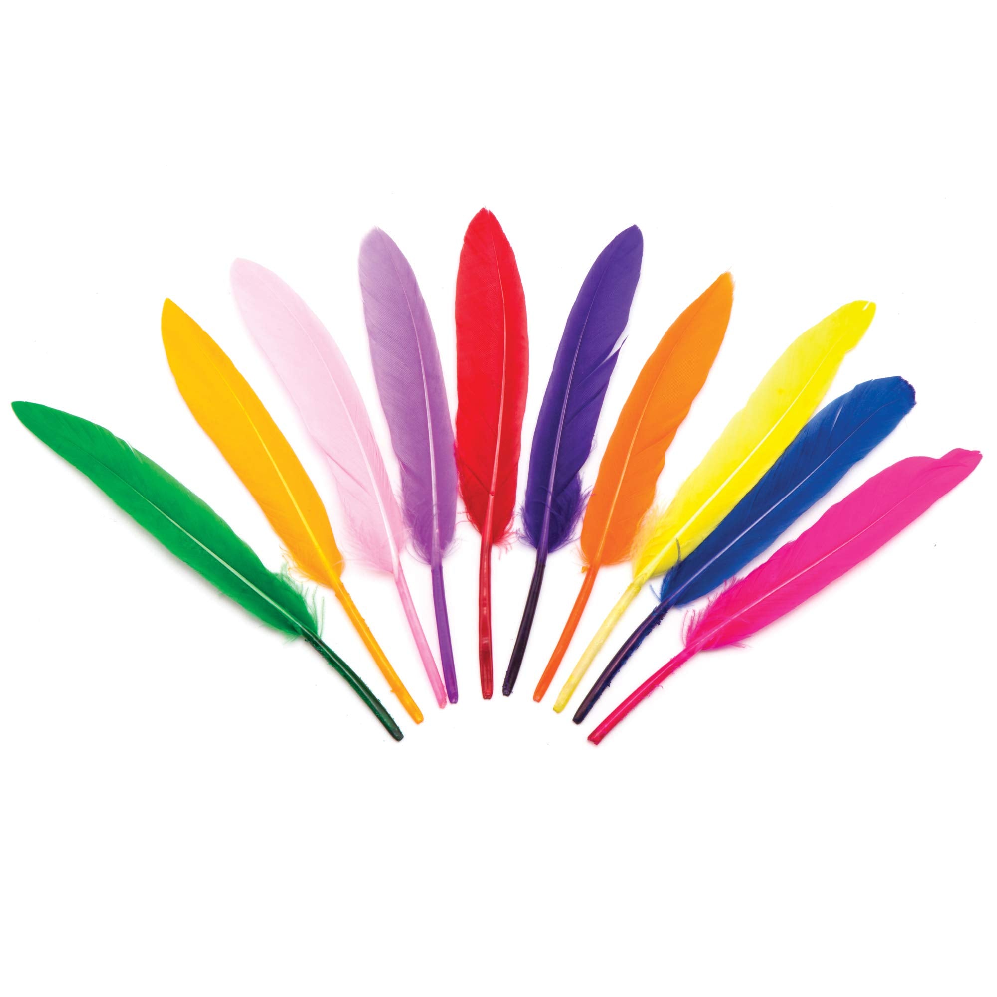 Baker Ross AR245 Mini Quill Feathers Value Pack - 80 Assorted Colours, 13cm | Craft & Decor 4