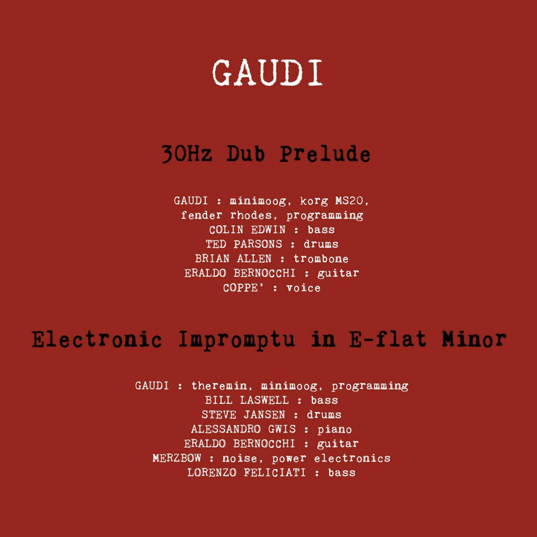 Gaudi - Magnetic (10" Vinyl EP) [VINYL]