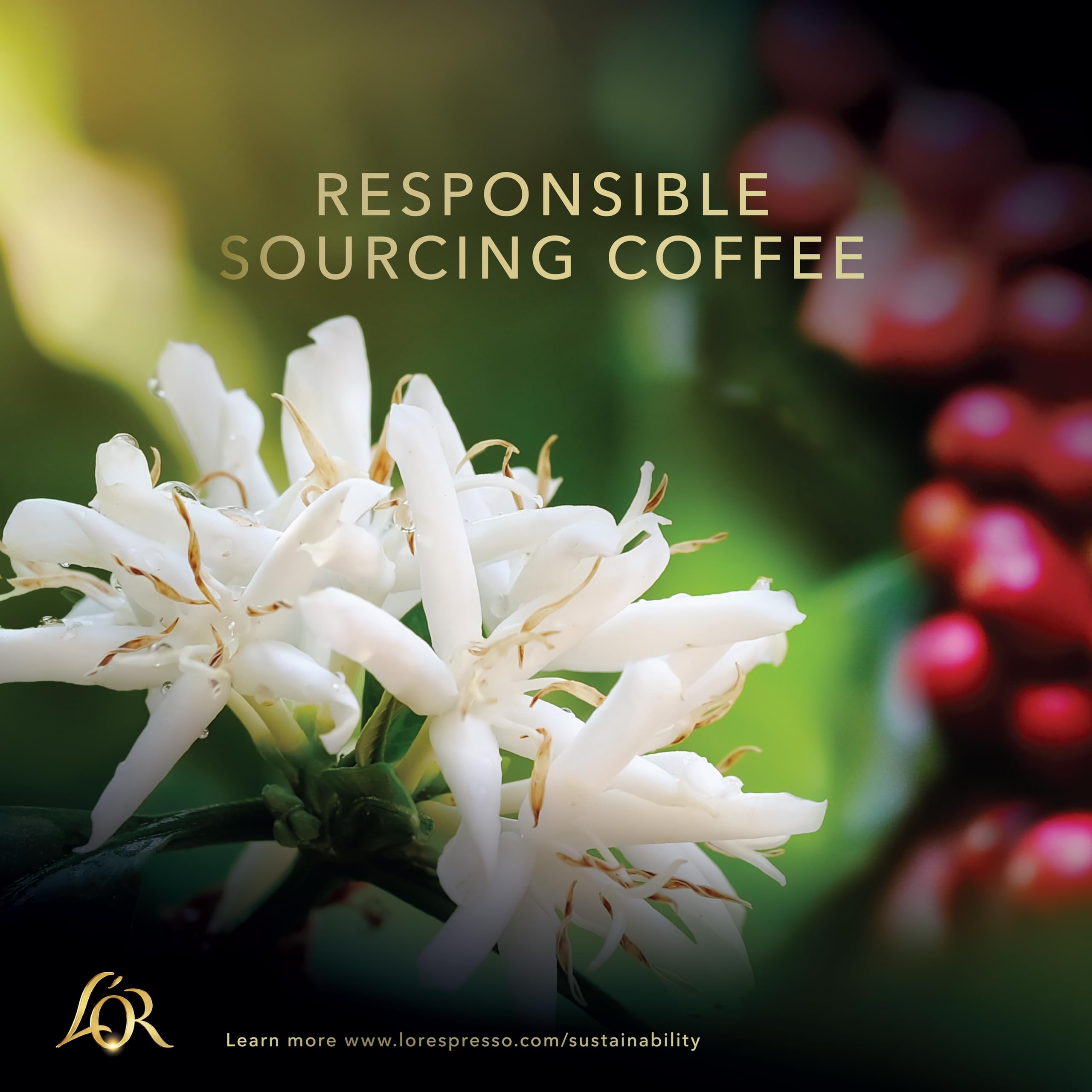 L'OR Espresso Onyx Coffee Pods x10 - Intensity 12 (Pack of 10, 100 Capsules) 6