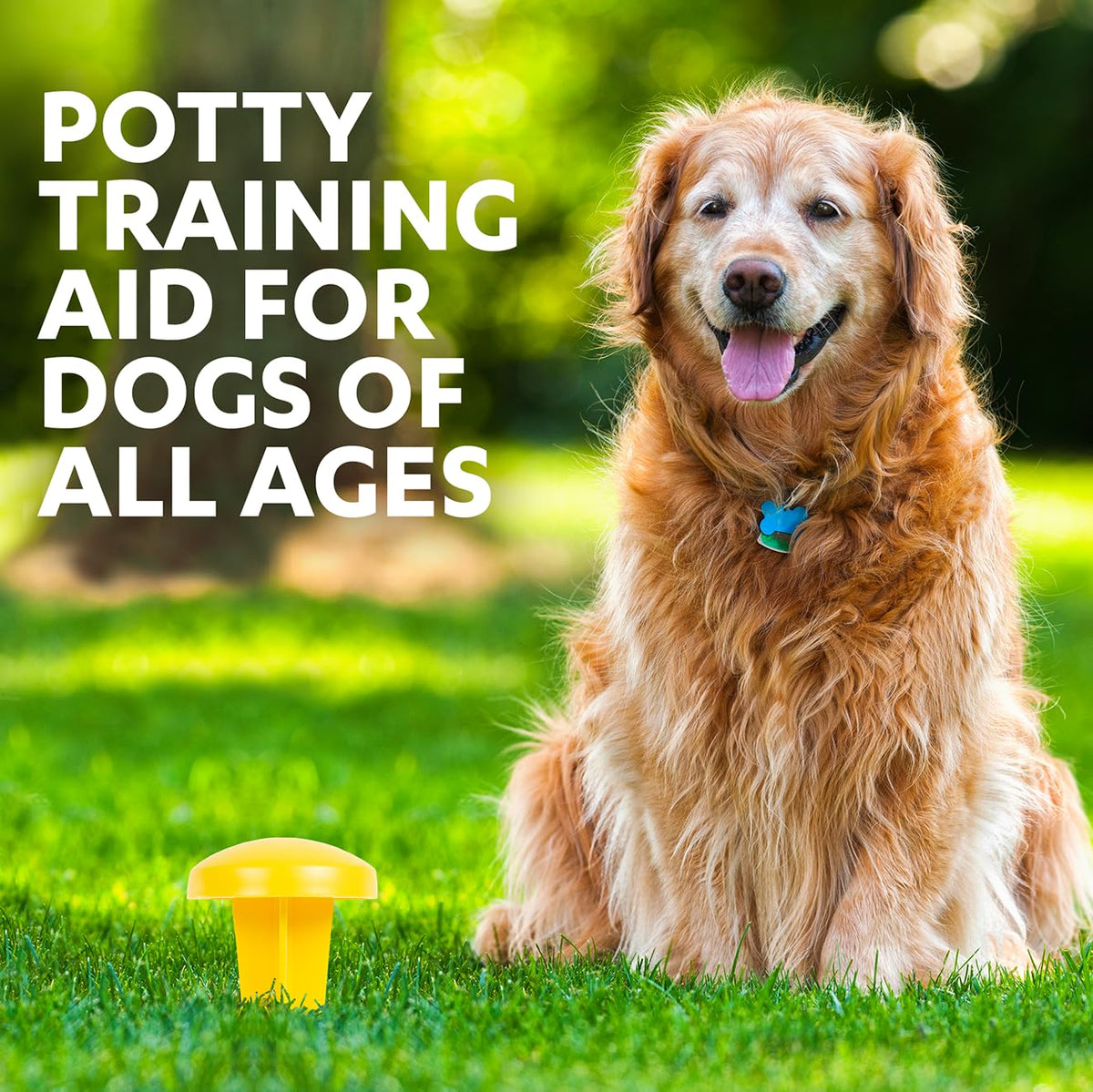 Simple Solution Pee Post - Outdoor Dog Training Aid with Pheromones | Yellow Plastic 6