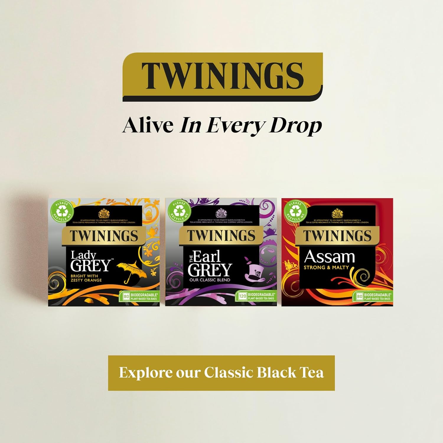 Twinings Earl Grey Black Tea, Pack of 4 (320 Tea Bags) 5