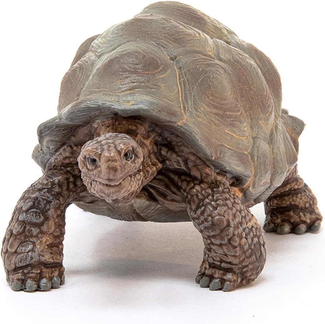 Schleich 14824 Giant Tortoise Wildlife Animal Figure - Educational Play for Toddlers & Kids 2