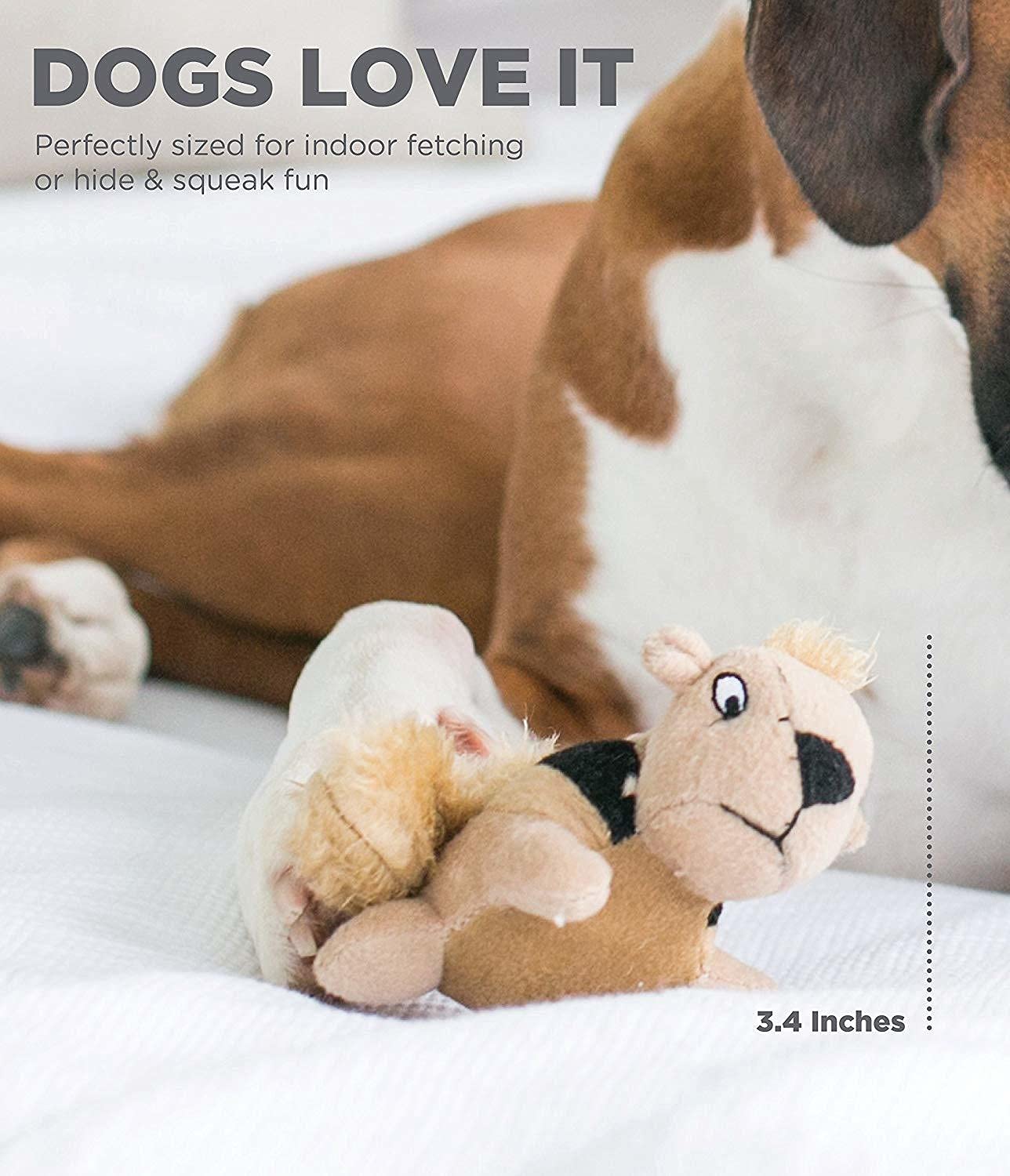 Outward Hound Squeakin' Squirrels Plush Replacement Dog Toys - 3 Pack | Durable Squeaker | For Medium, Large, XL Hide A Squirrel Trunks 2