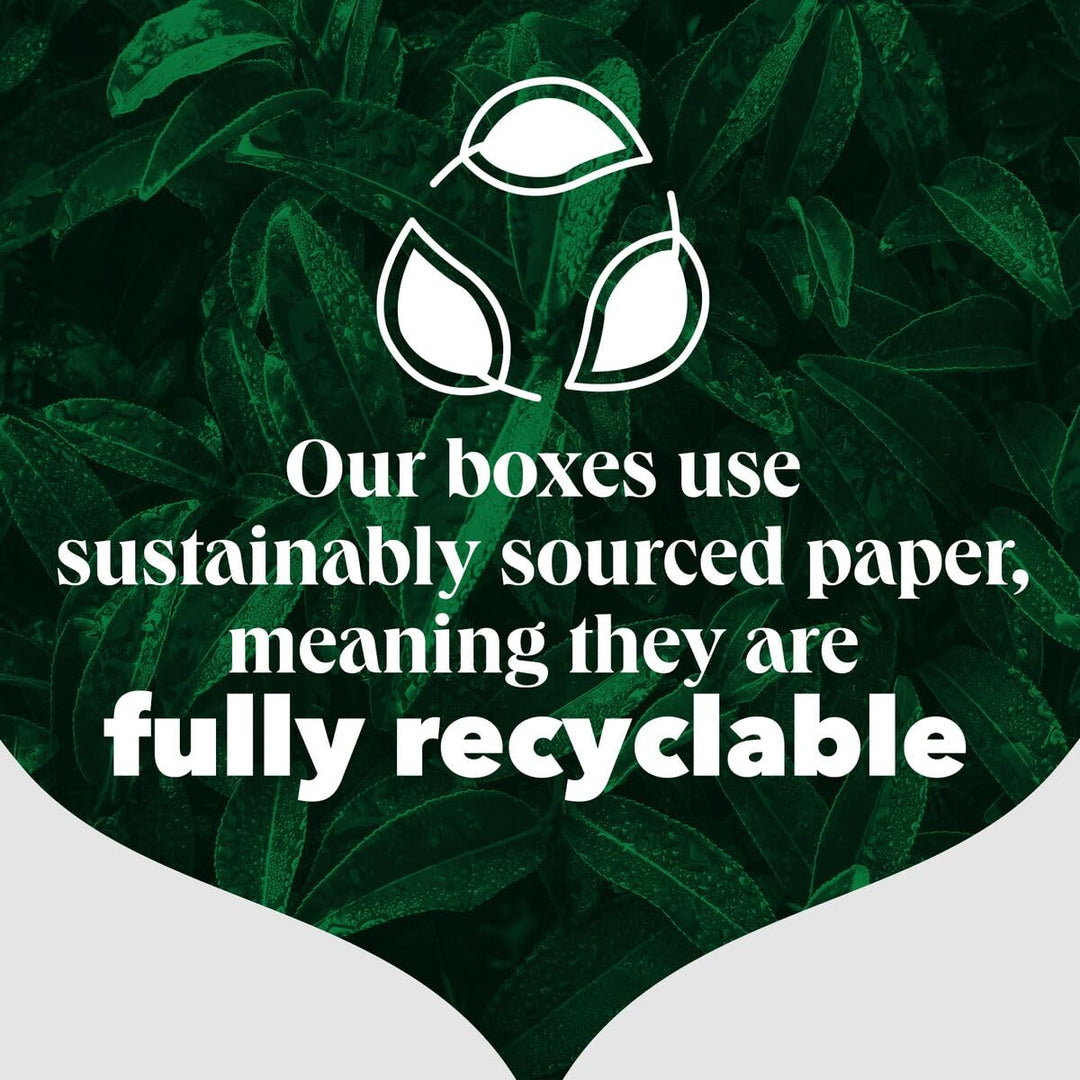 PG Tips Decaf Black Tea Bags Bulk - 70 Teabags (6x Pack )| 420 Total