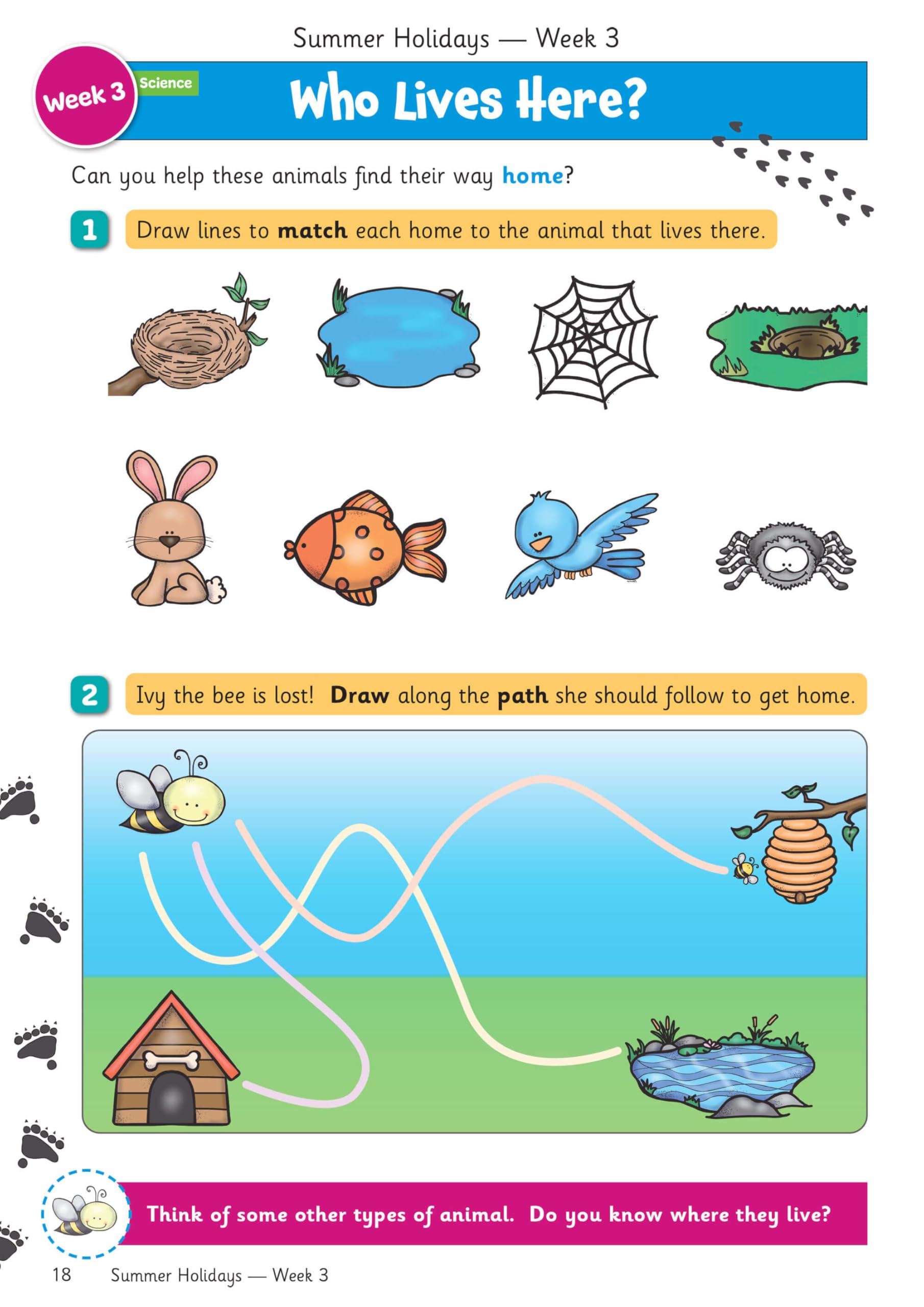 CGP Summer Holidays Activity Workbook - Reception to Year 1 Transition | 64 Pages | English 2