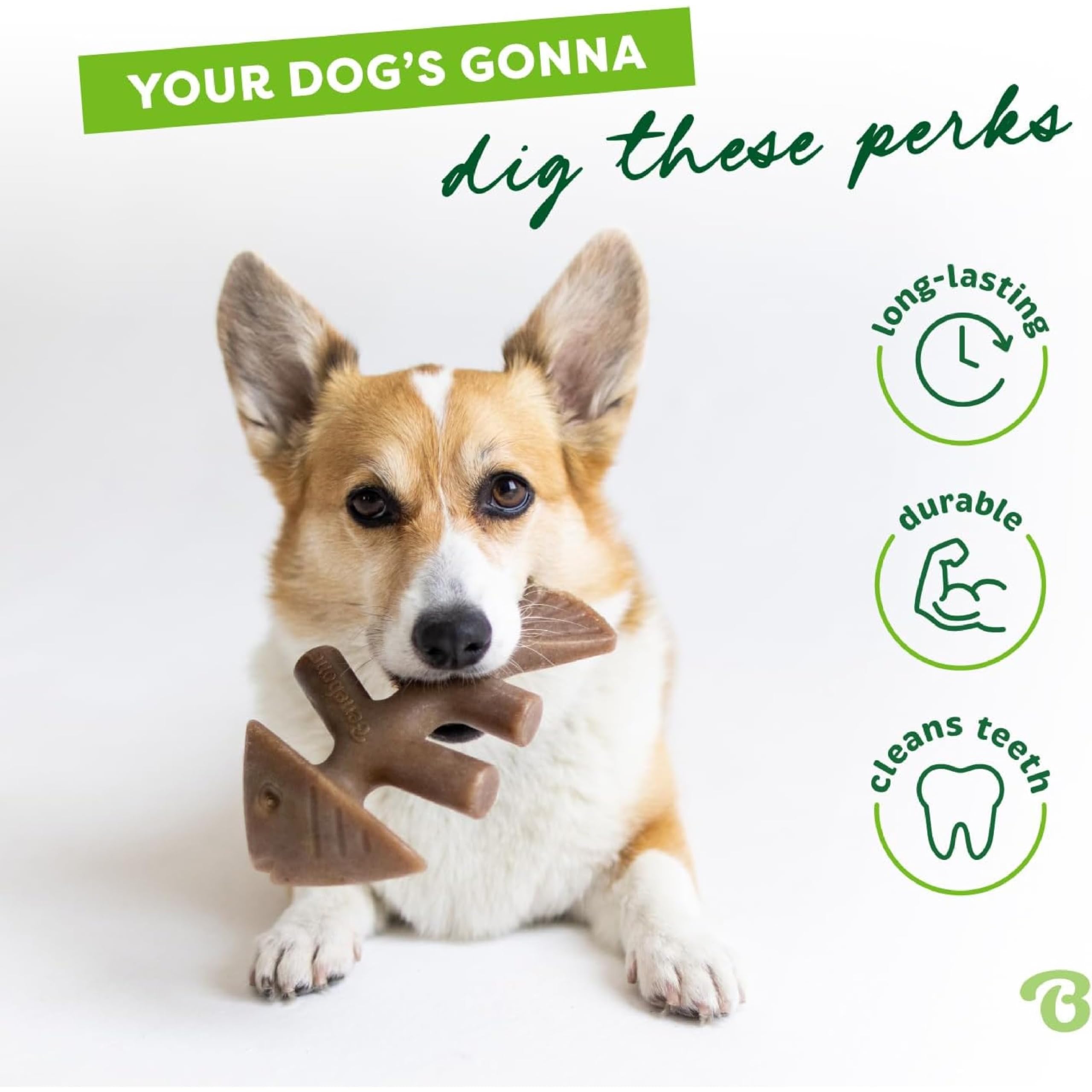 Benebone Fishbone Indestructible Dog Chew Toy - Real Jack Salmon Flavor | Small Size | Heavy Duty 3