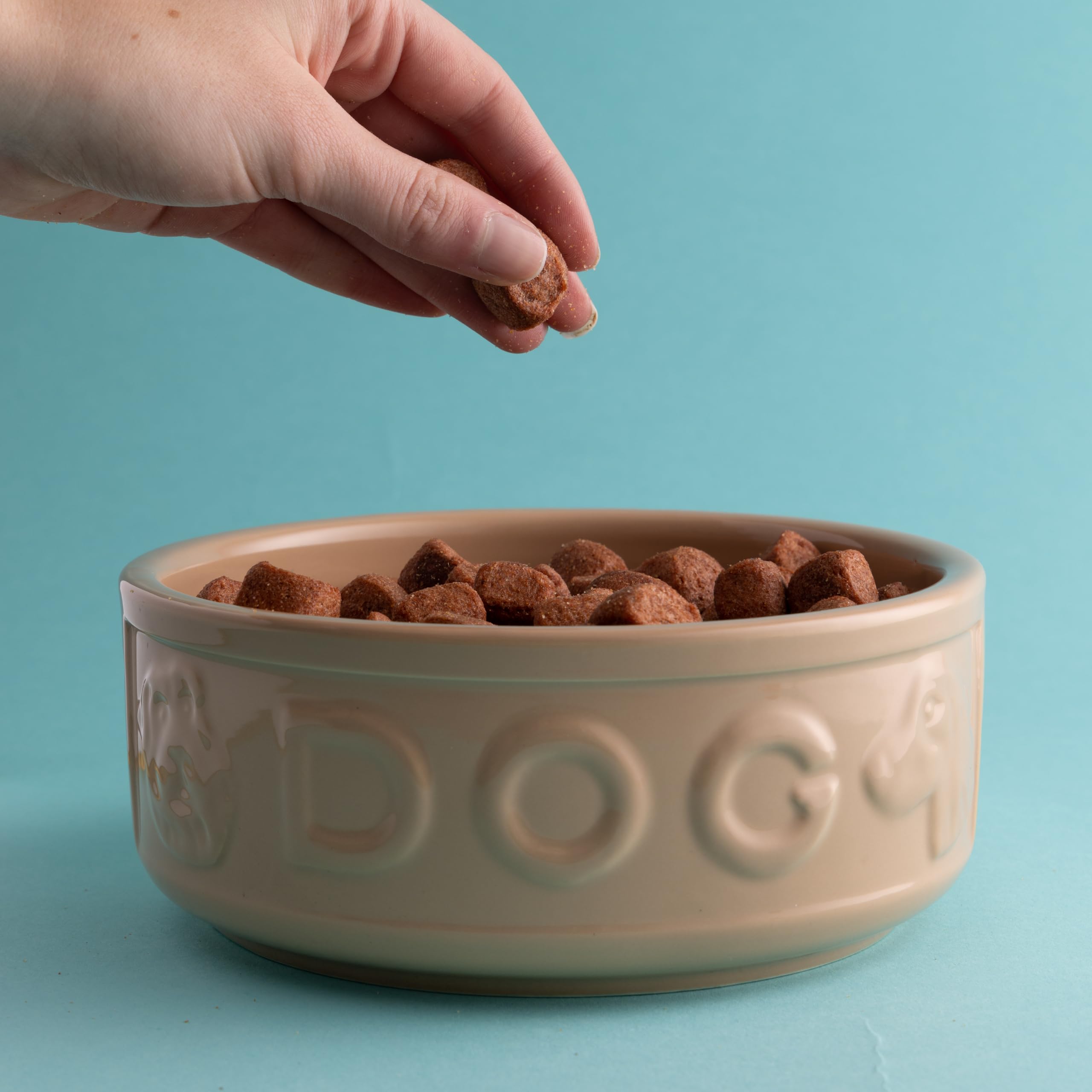 Mason Cash Cane Lettered Stoneware Dog Bowl - 1.2L Capacity | Durable | Medium/Large Breeds 2