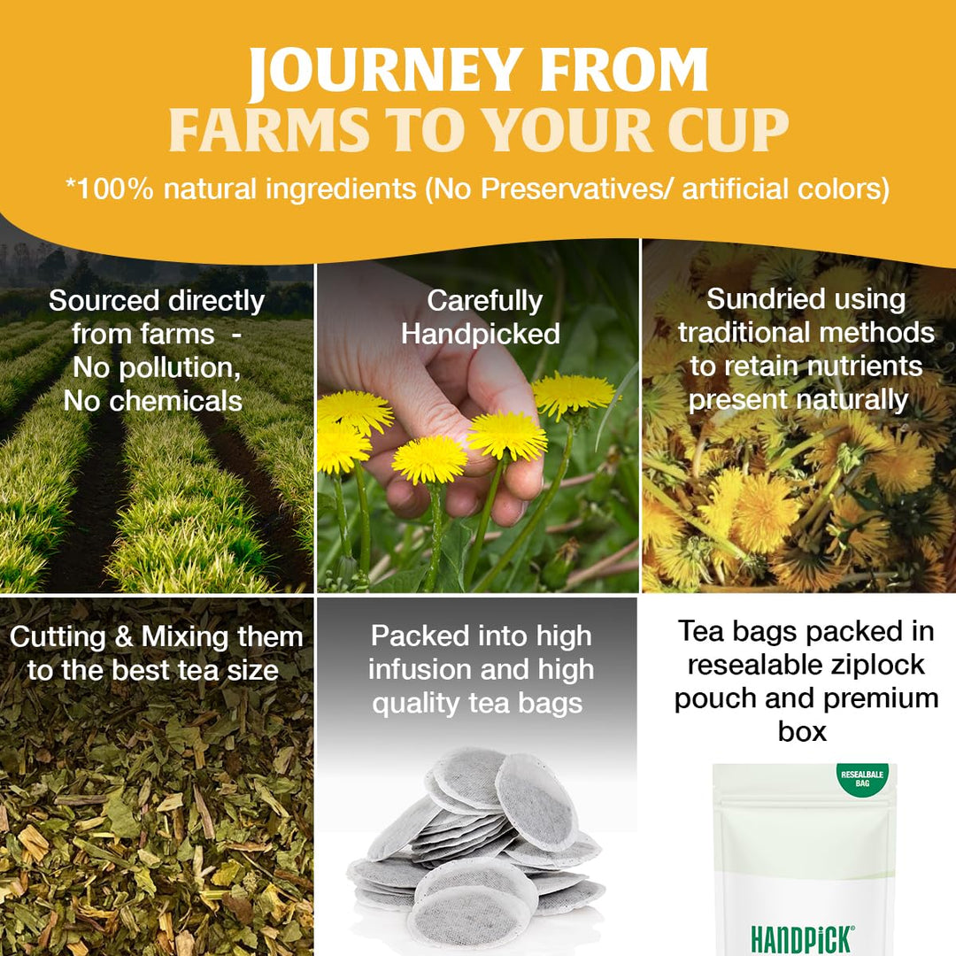 HANDPICK Dandelion Root & Leaf Tea Bags (100 Herbal Tea Bags) Caffeine-Free