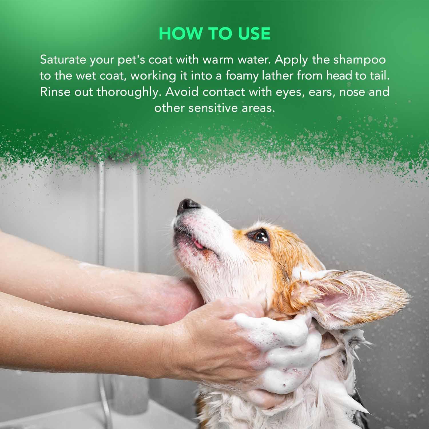 Wahl Aloe Soothe Animal Shampoo - Hypoallergenic Gentle Coat Cleanser Concentrate | 500ml 5