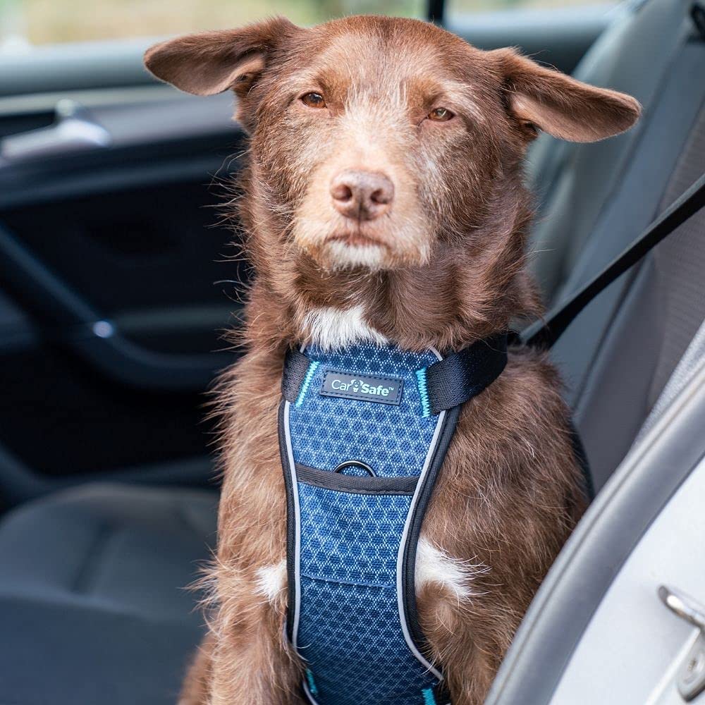 CarSafe Crash Tested Dog Safety Harness - Small Blue | Certified up to 32Kg/70lbs