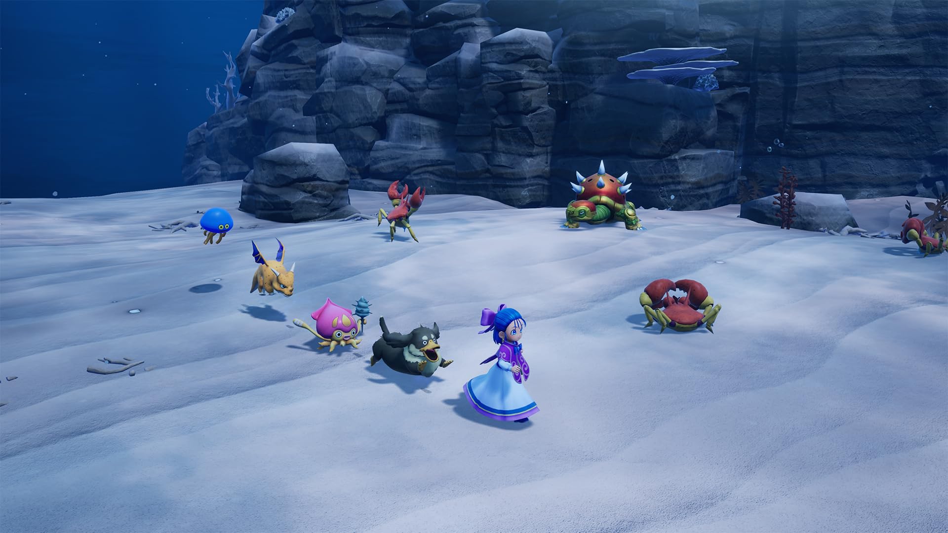 DRAGON QUEST Monsters: The Withered World [Nintendo Switch] 7
