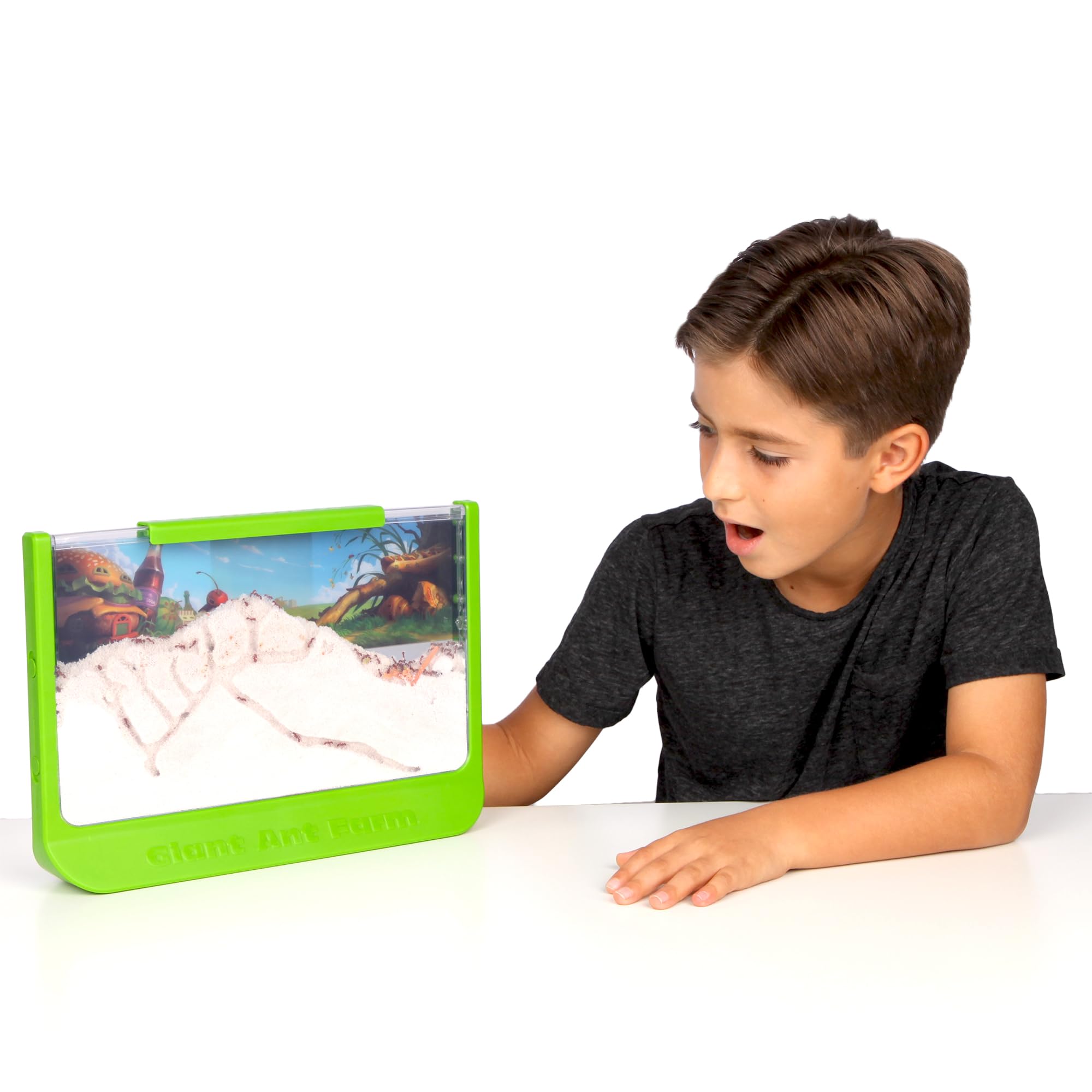 Uncle Milton Giant Ant Farm - Extra Large Viewing Area with Ant Picnic Scene 6