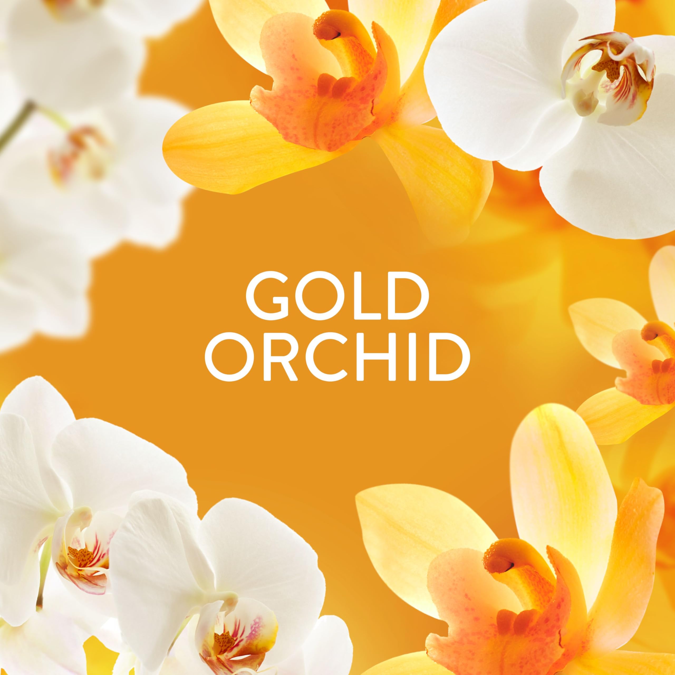 Lenor Gold Orchid Scent Booster Beads - 12 Weeks Freshness | 6 x 155g Packs 3