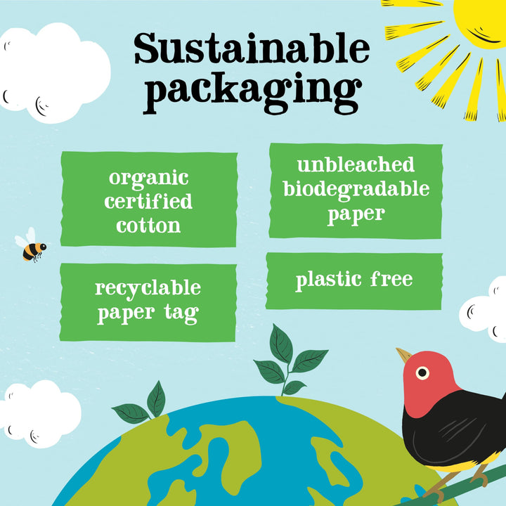 Clipper Organic Pure Green Tea Bags - 320 Bags (4 x 80) Bulk Pack, Fairtrade & Plastic-Free