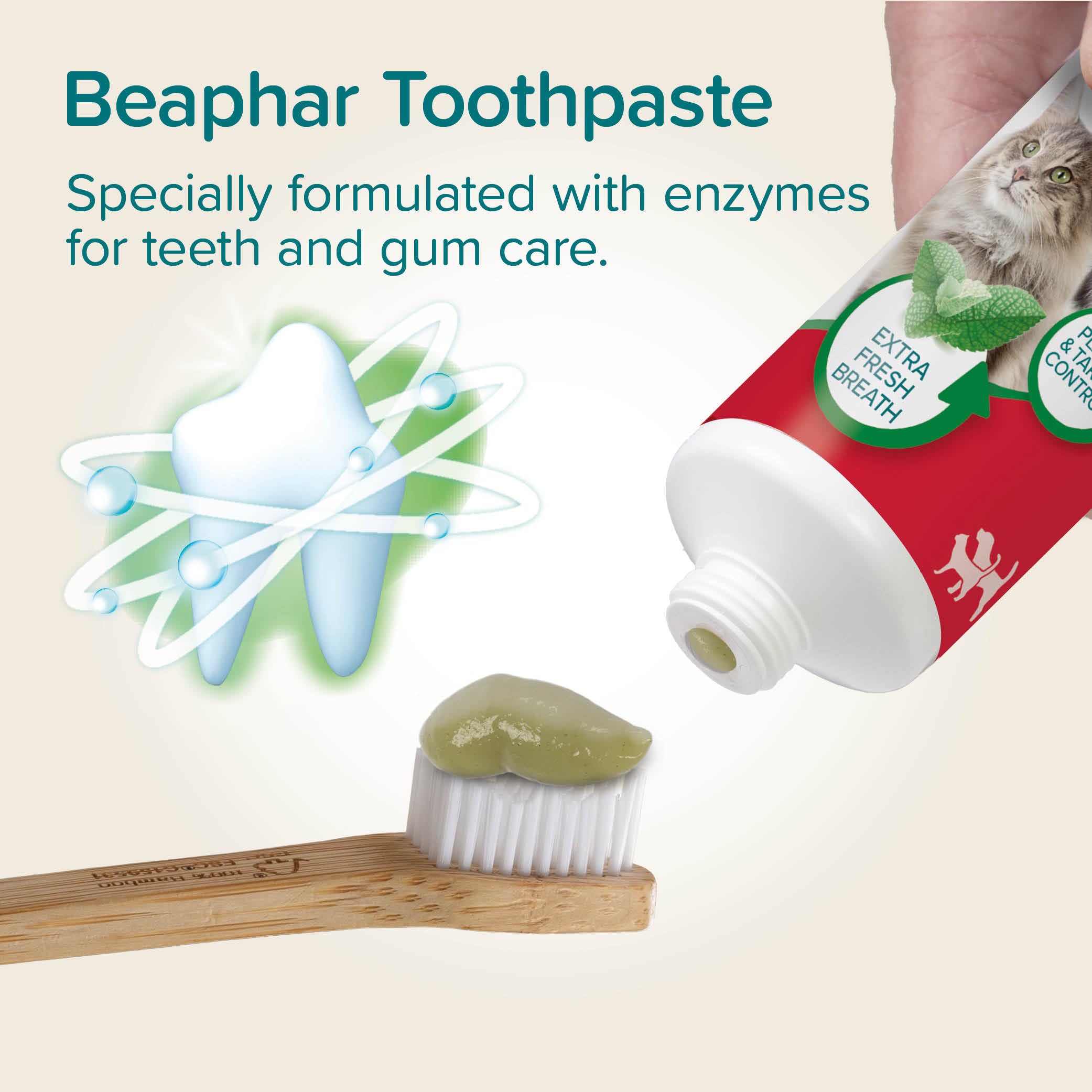 Beaphar Liver Flavour Toothpaste with Enzymes for Dogs & Cats | Plaque & Tartar Control | 100 g