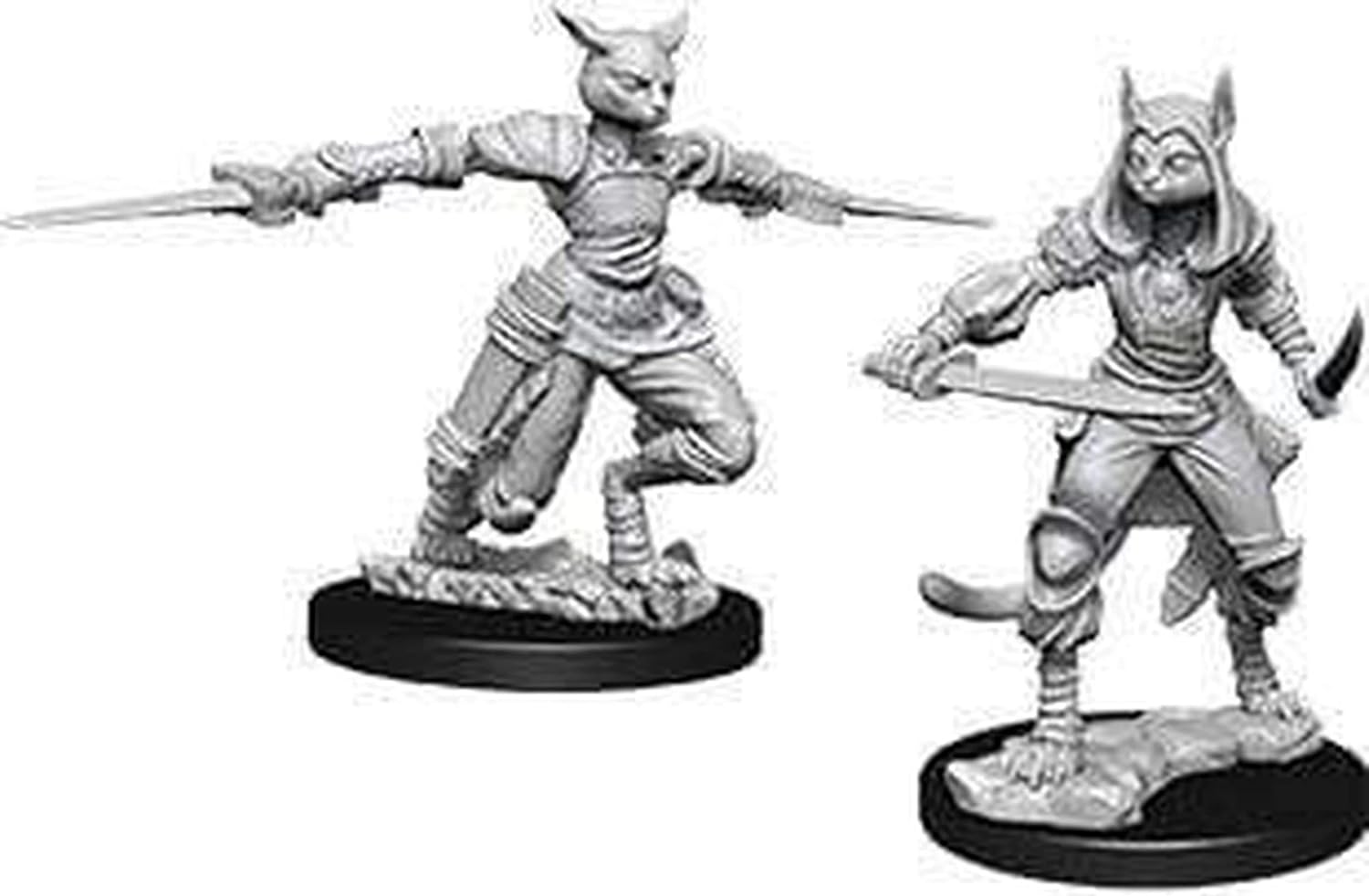Wizards of the Coast D&D WZK73708 Accessories